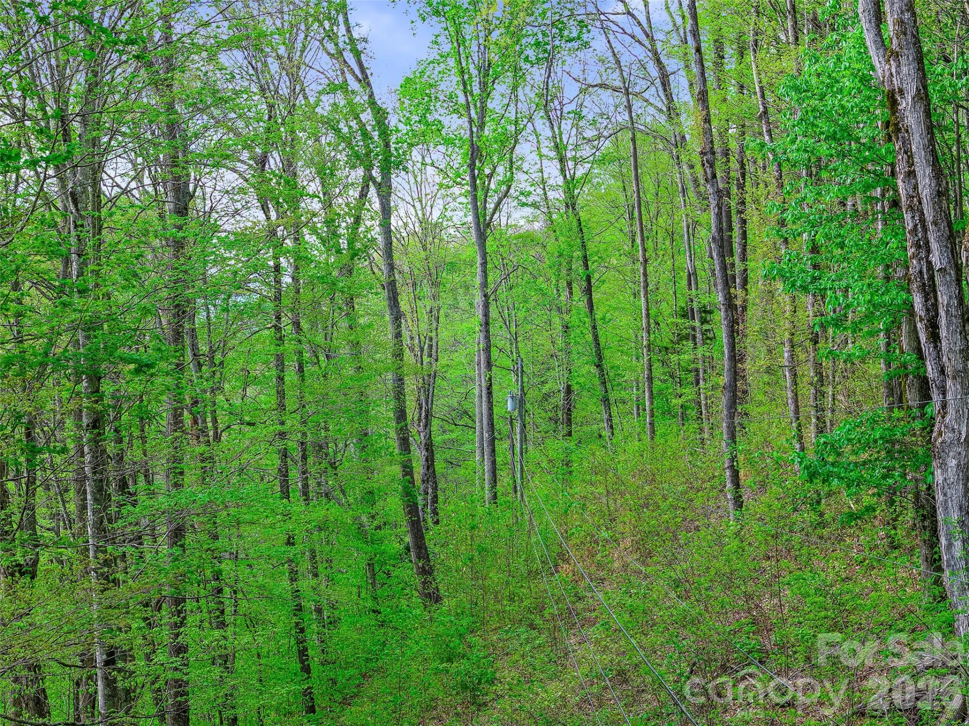 1161 Deep Gap Road - Photo 13