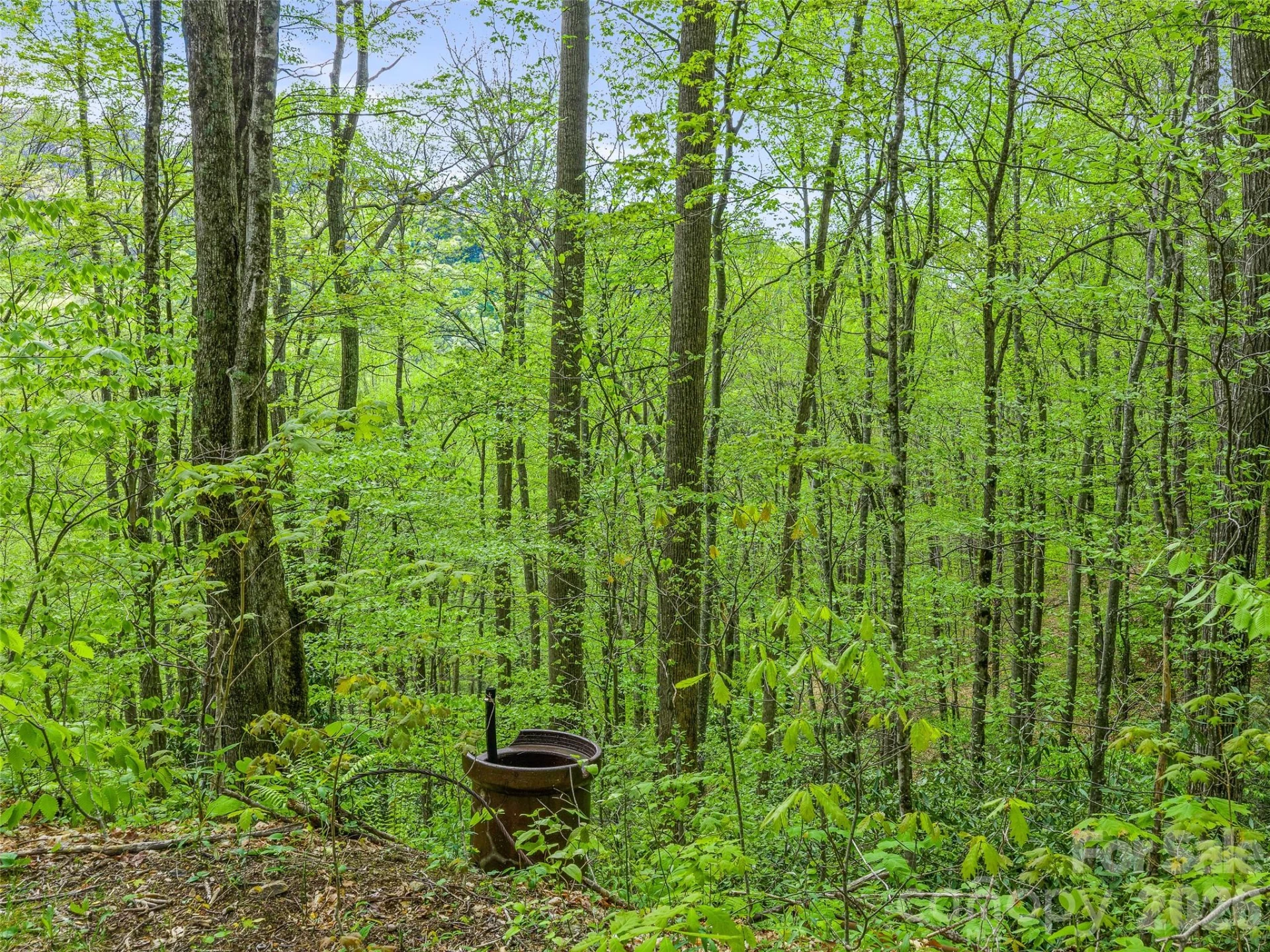 1161 Deep Gap Road - Photo 14