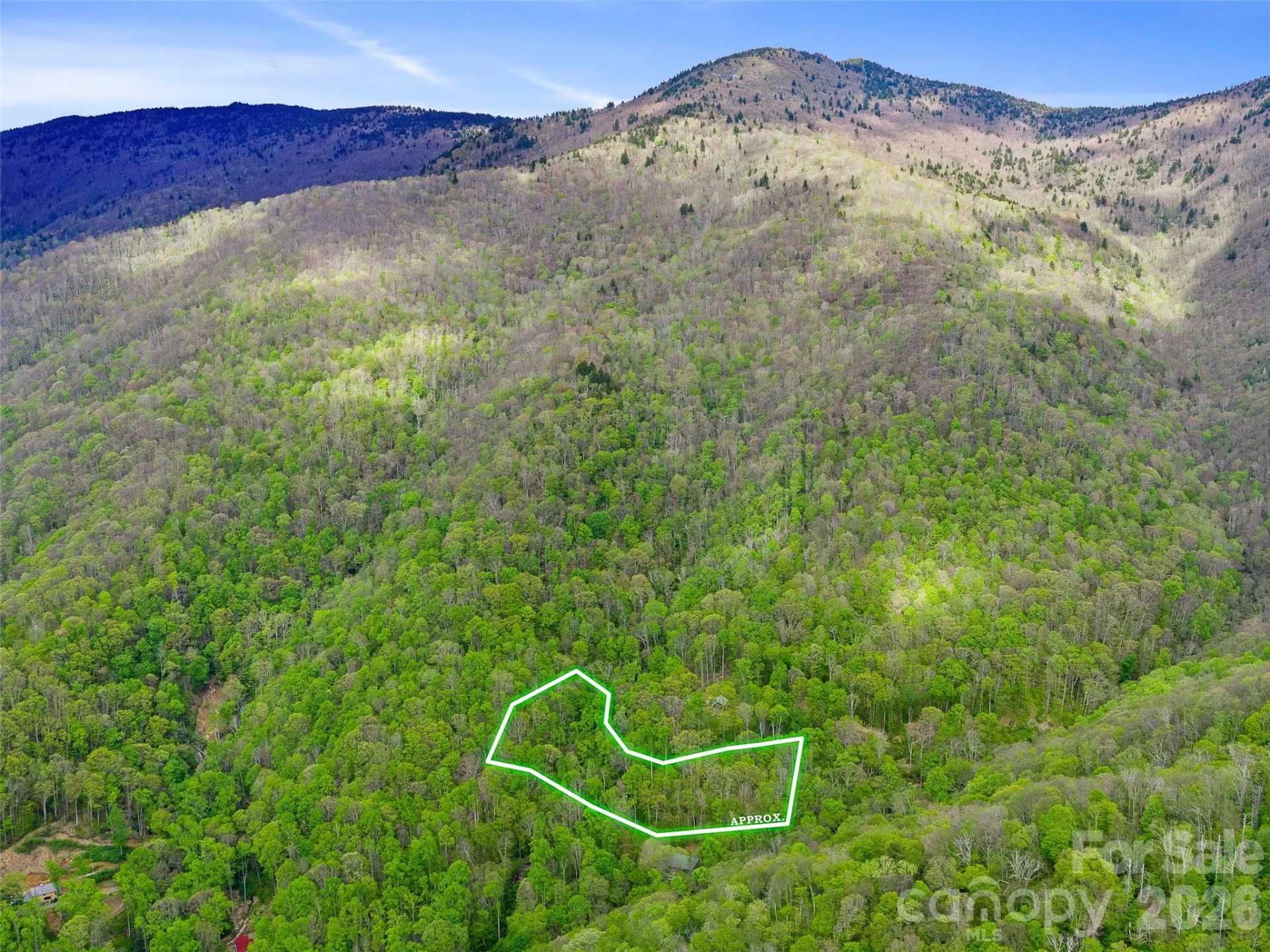 1161 Deep Gap Road - Photo 15