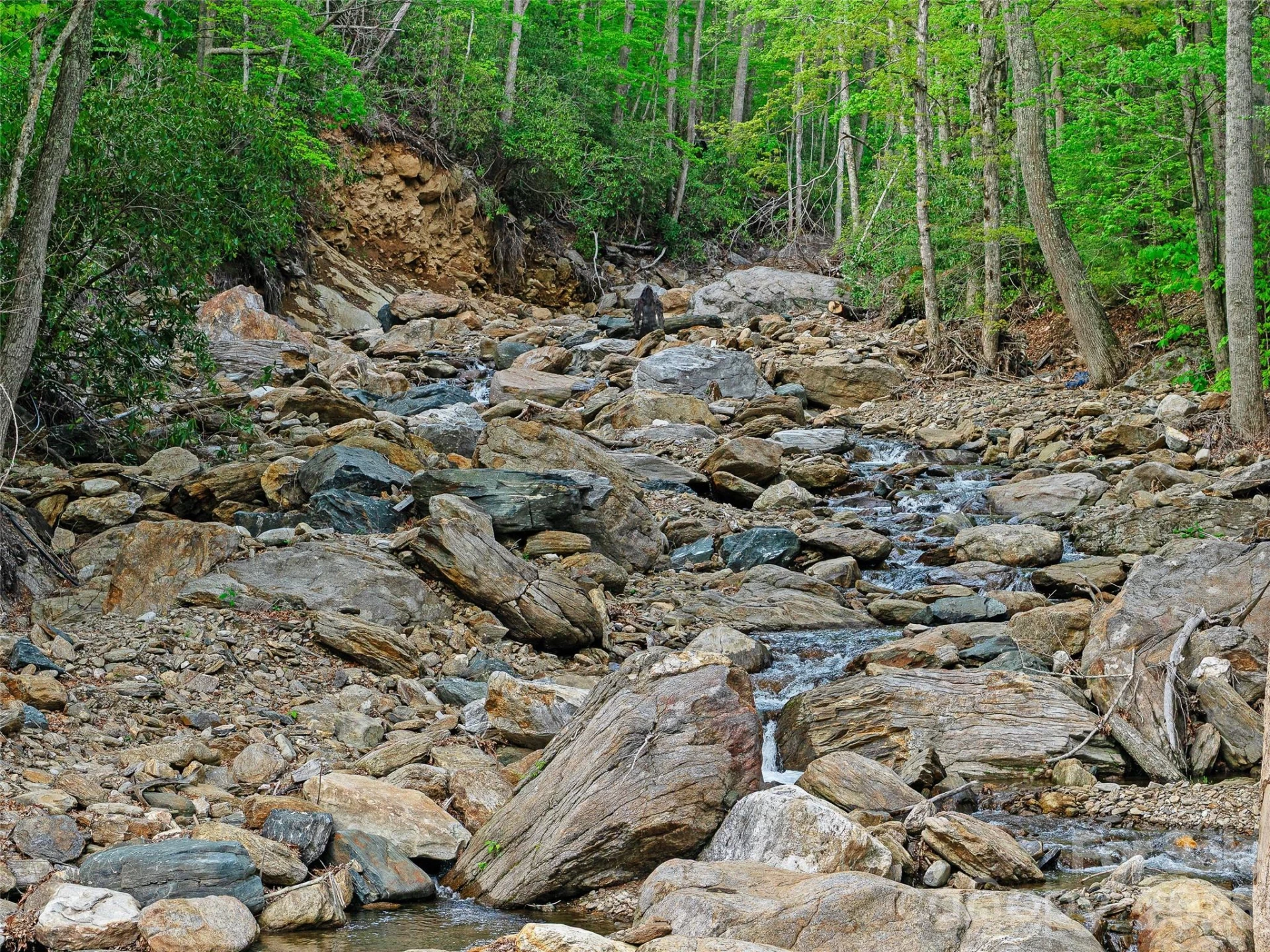1161 Deep Gap Road - Photo 3