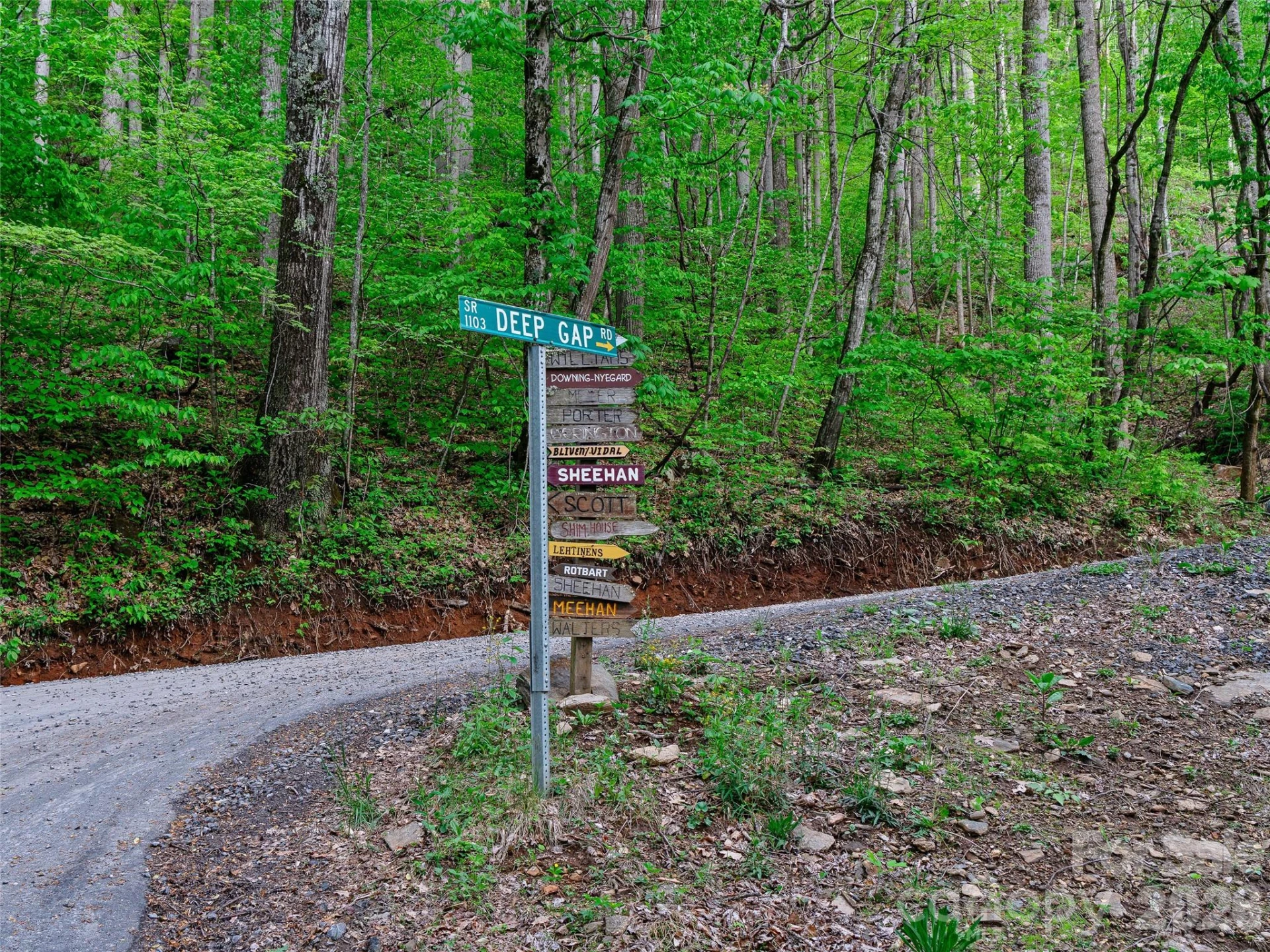 1161 Deep Gap Road - Photo 4