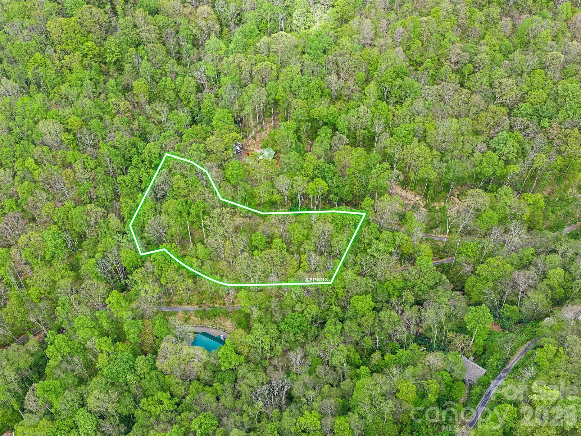 1161 Deep Gap Road - Photo 5