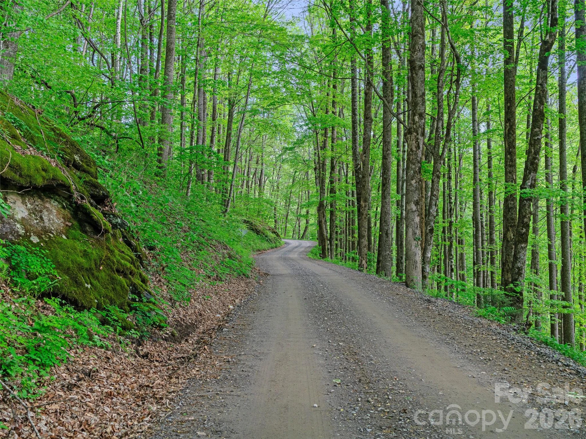 1161 Deep Gap Road - Photo 6