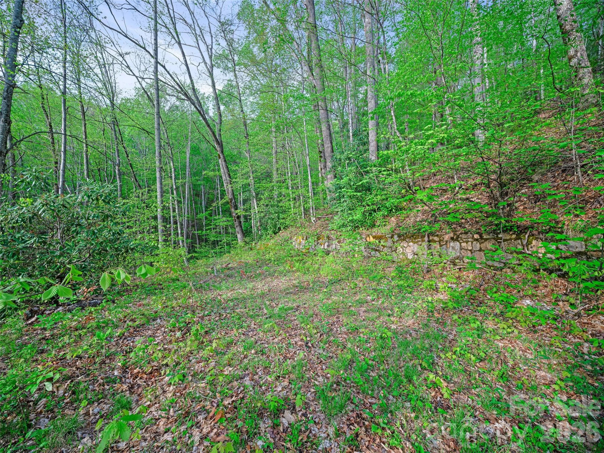 1161 Deep Gap Road - Photo 7