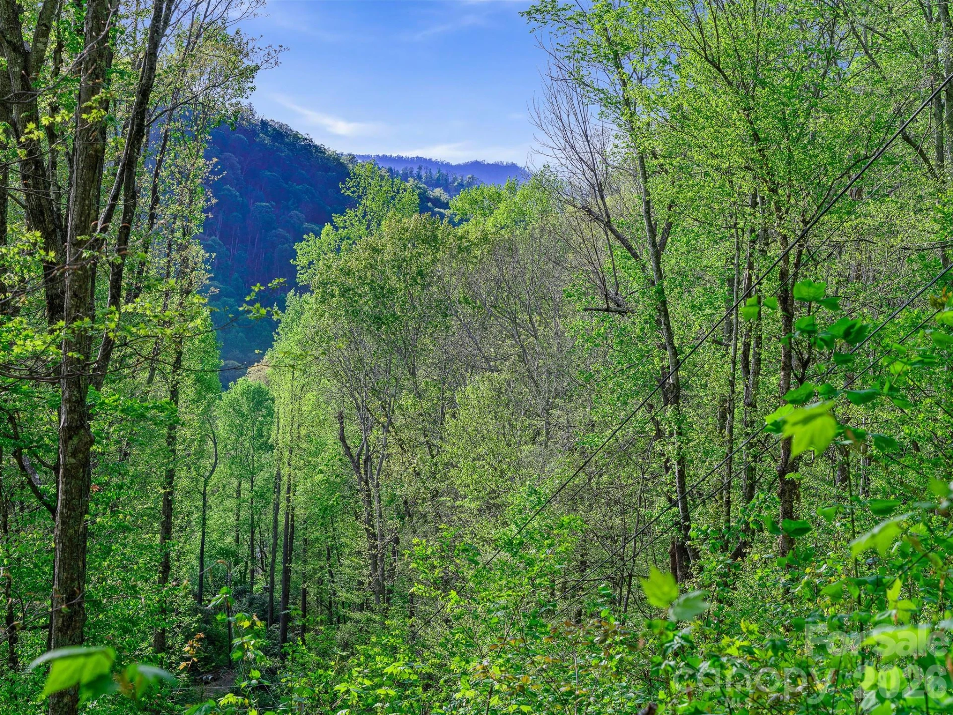 1161 Deep Gap Road - Photo 8