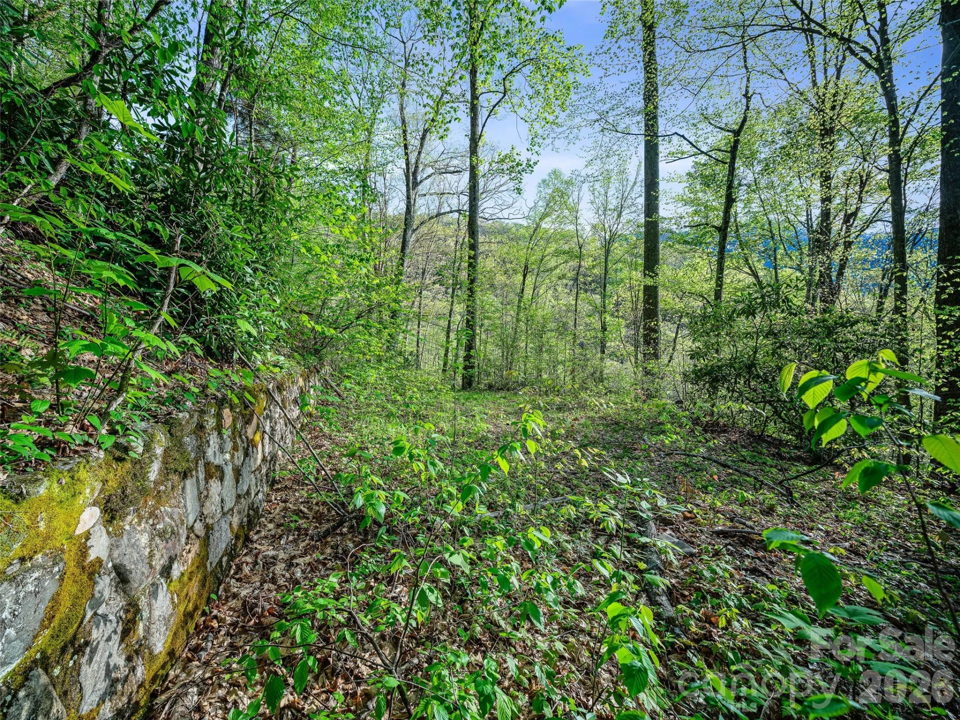 1161 Deep Gap Road - Photo 10