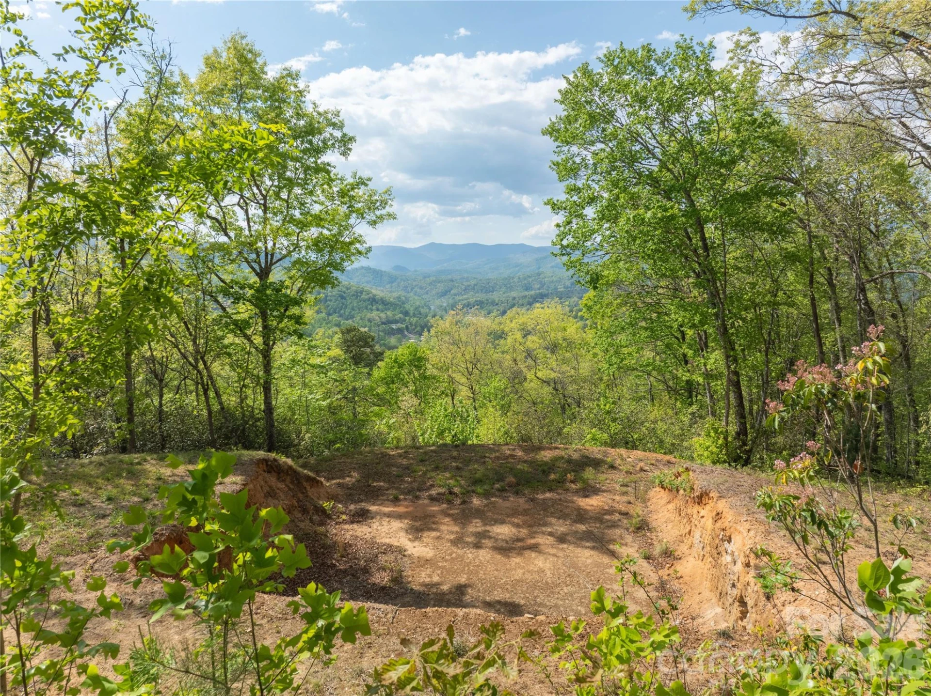 Lot 1 Breedlove Road - Photo 2