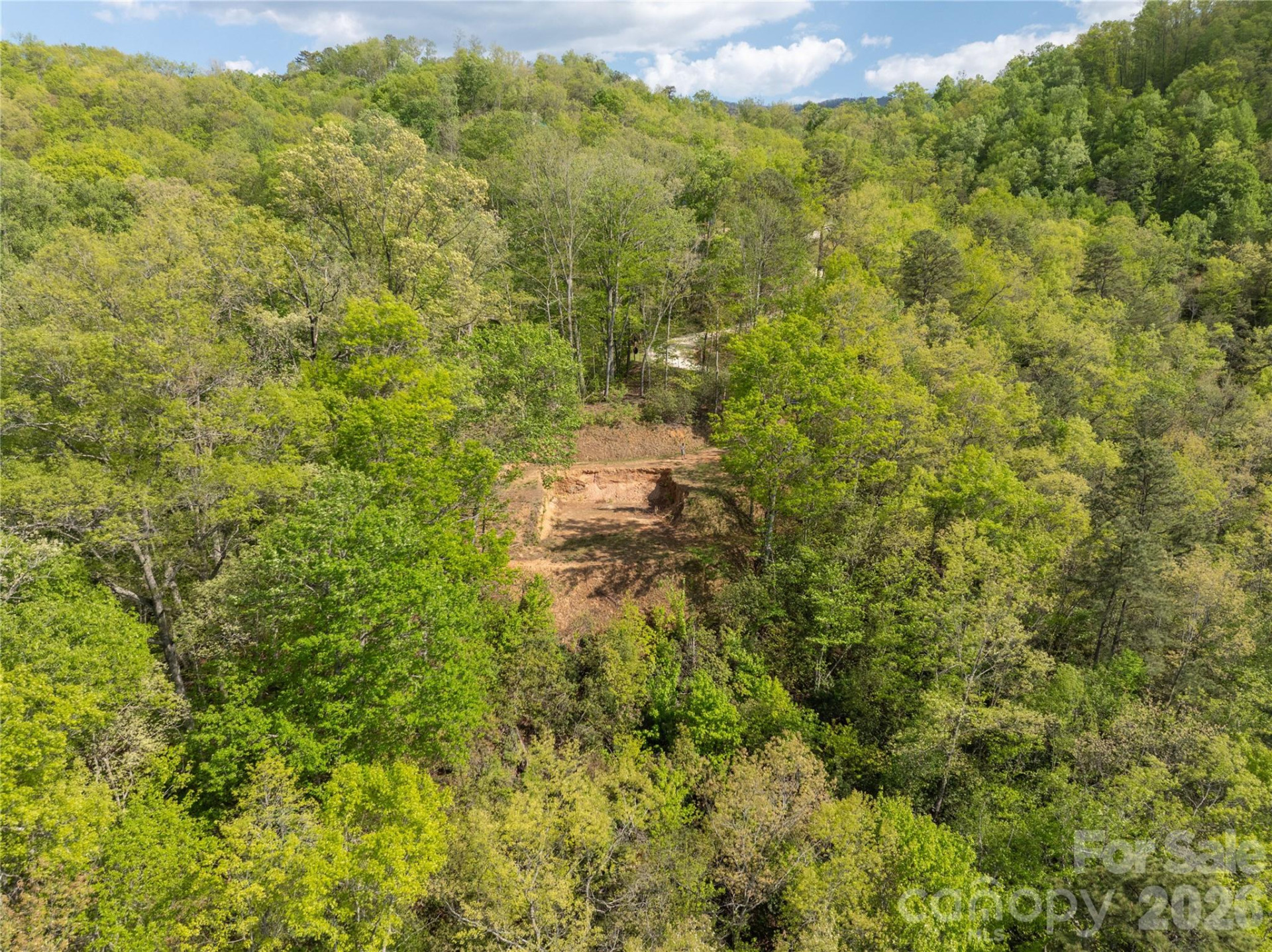 Lot 1 Breedlove Road - Photo 3