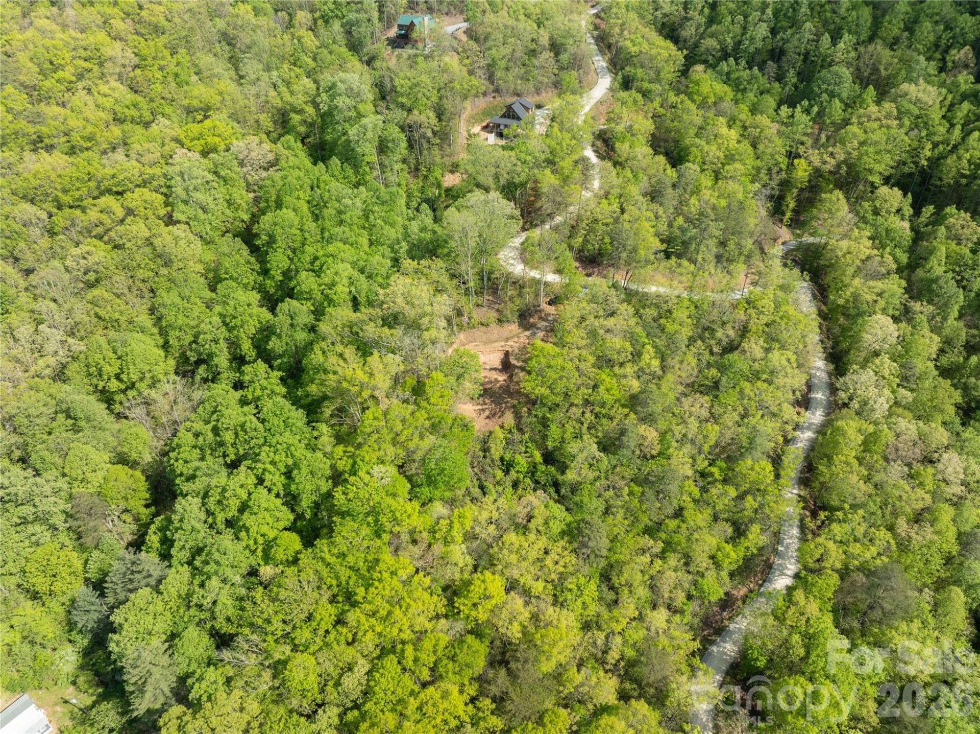 Lot 1 Breedlove Road - Photo 4