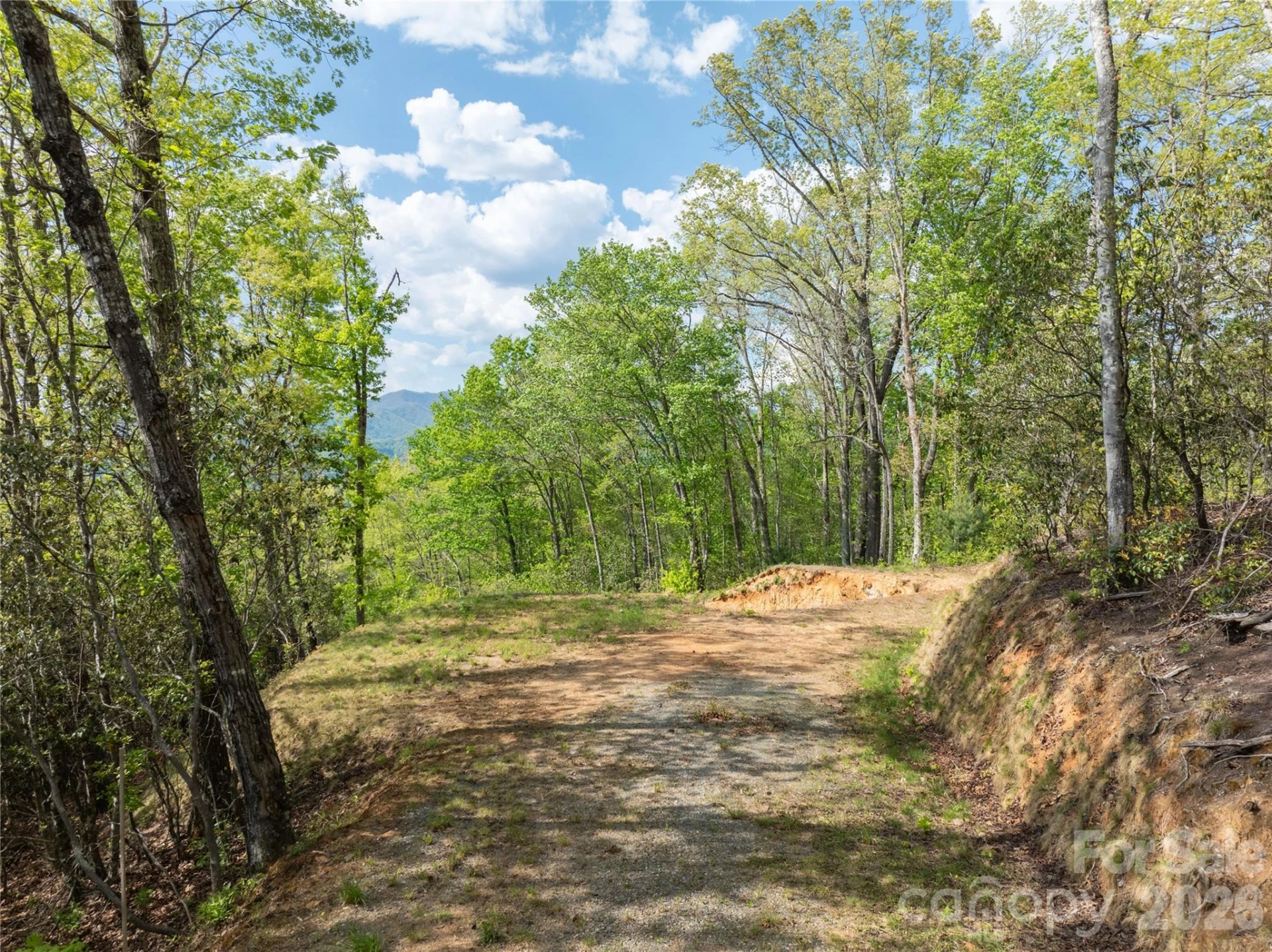 Lot 1 Breedlove Road - Photo 8