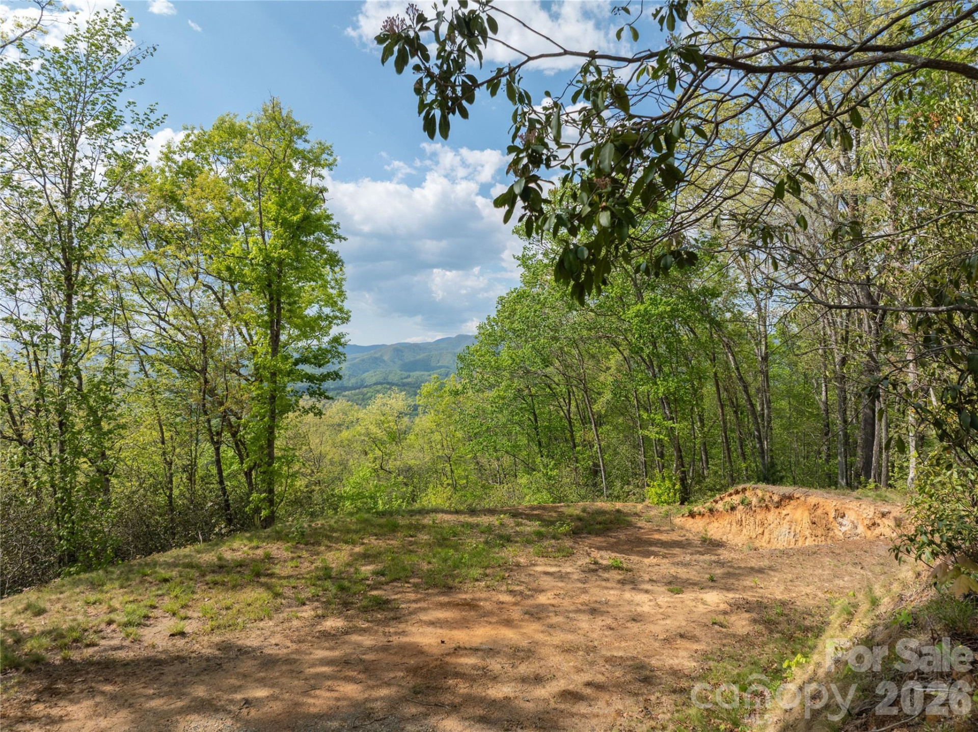 Lot 1 Breedlove Road - Photo 9
