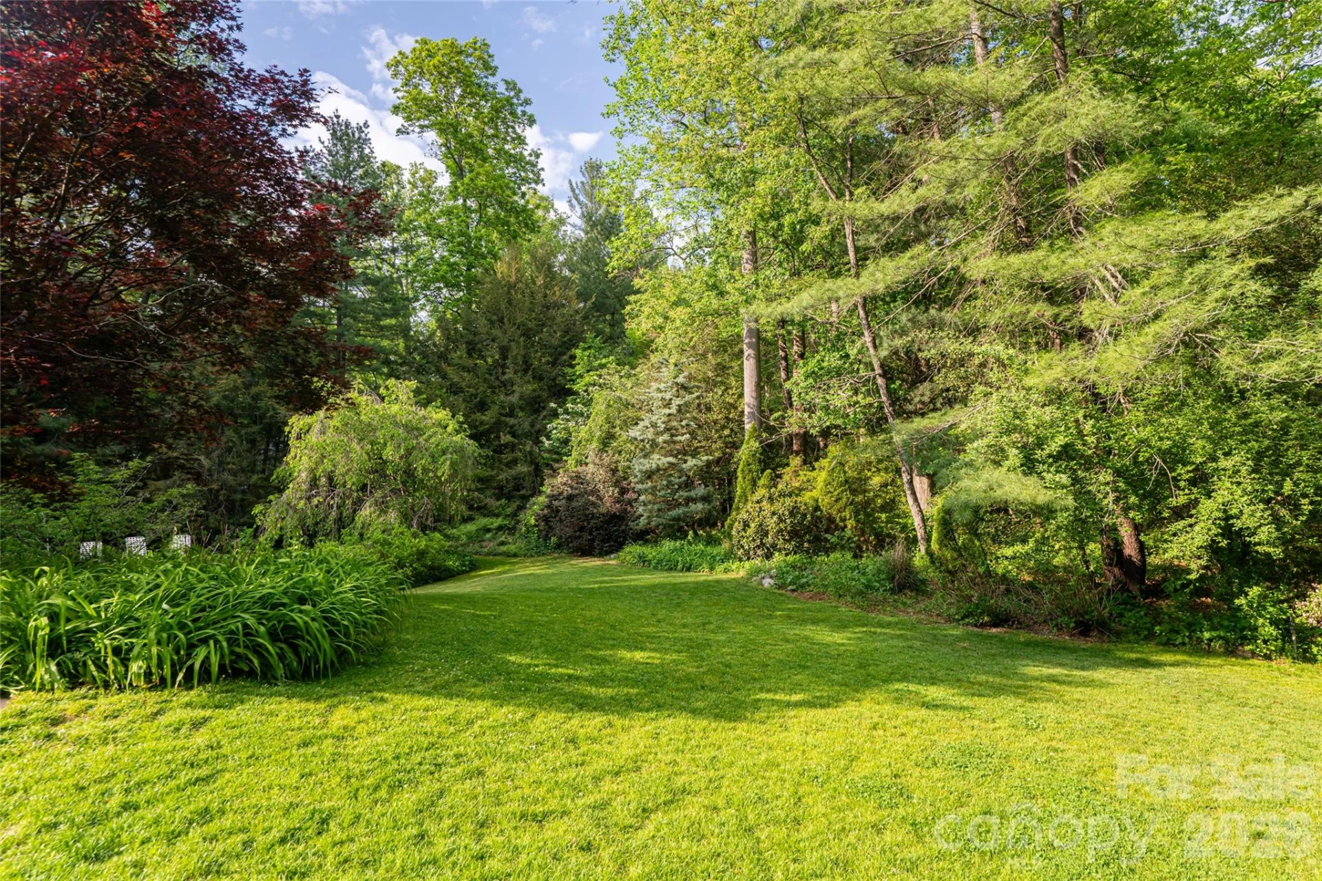 18 Forest Road - Photo 38