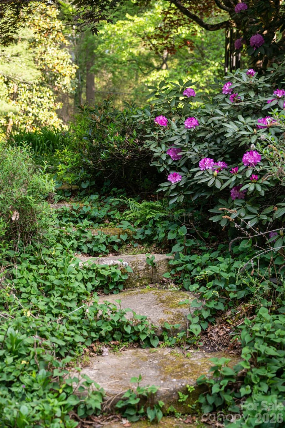 18 Forest Road - Photo 8