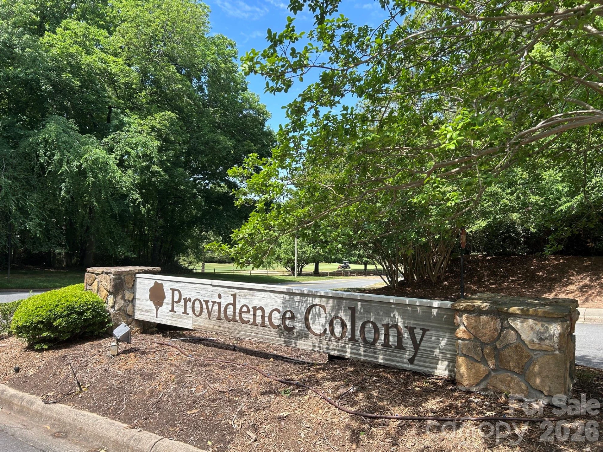 8960 Providence Colony Drive #D - Photo 42