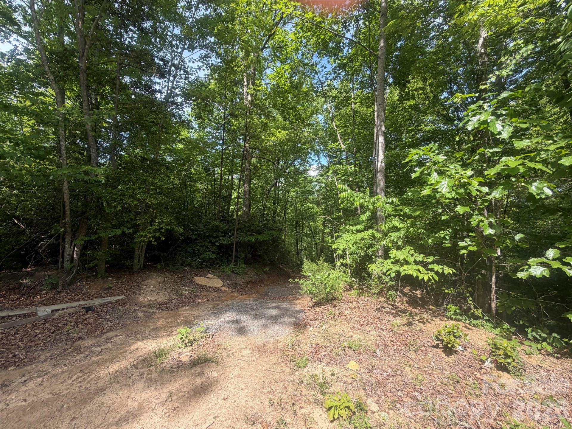 1411 Cedar Creek Road - Photo 14