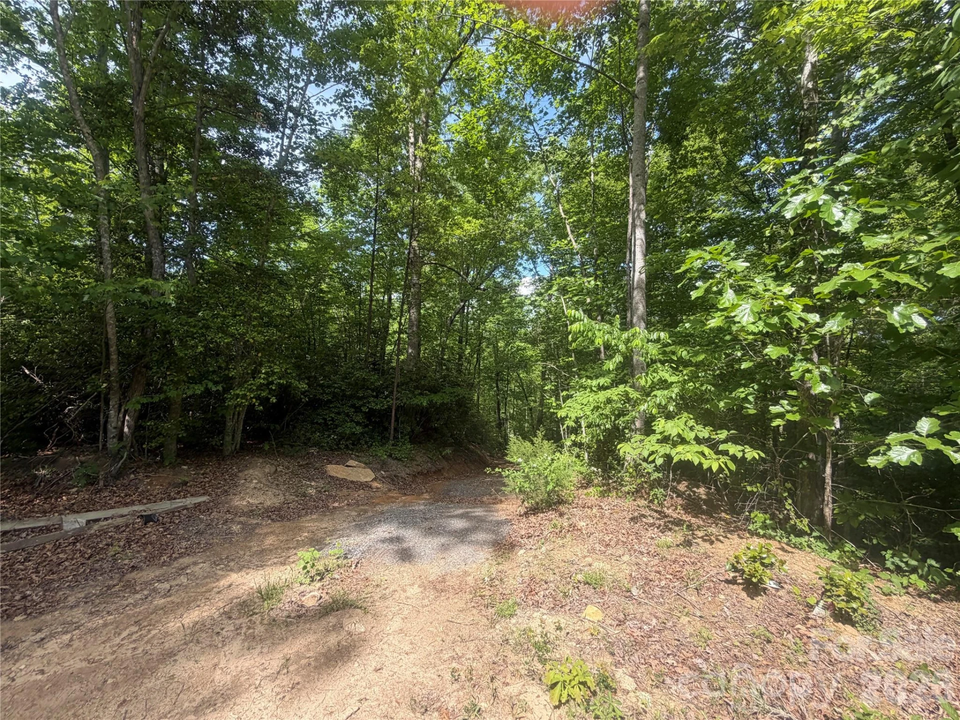 1411 Cedar Creek Road - Photo 14