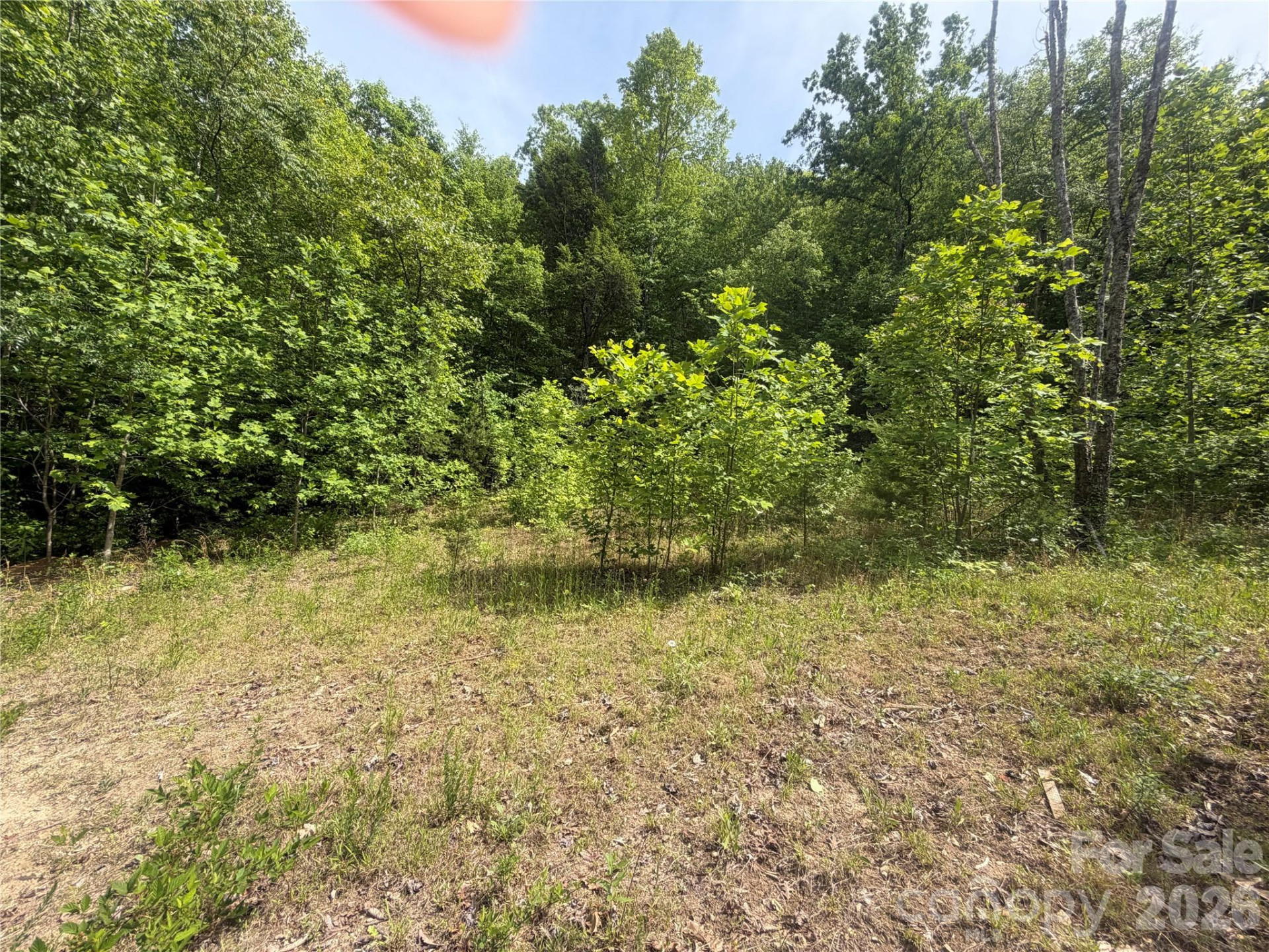 1411 Cedar Creek Road - Photo 16