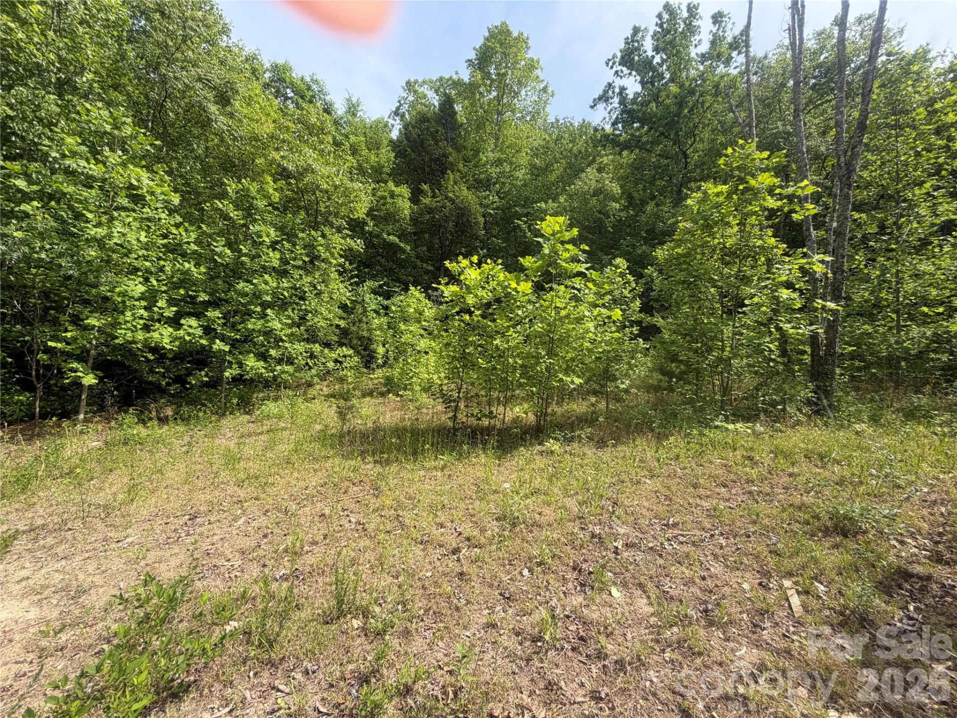 1411 Cedar Creek Road - Photo 16
