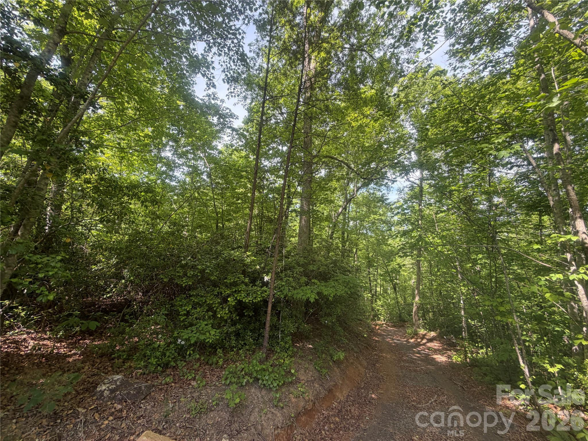 1411 Cedar Creek Road - Photo 18