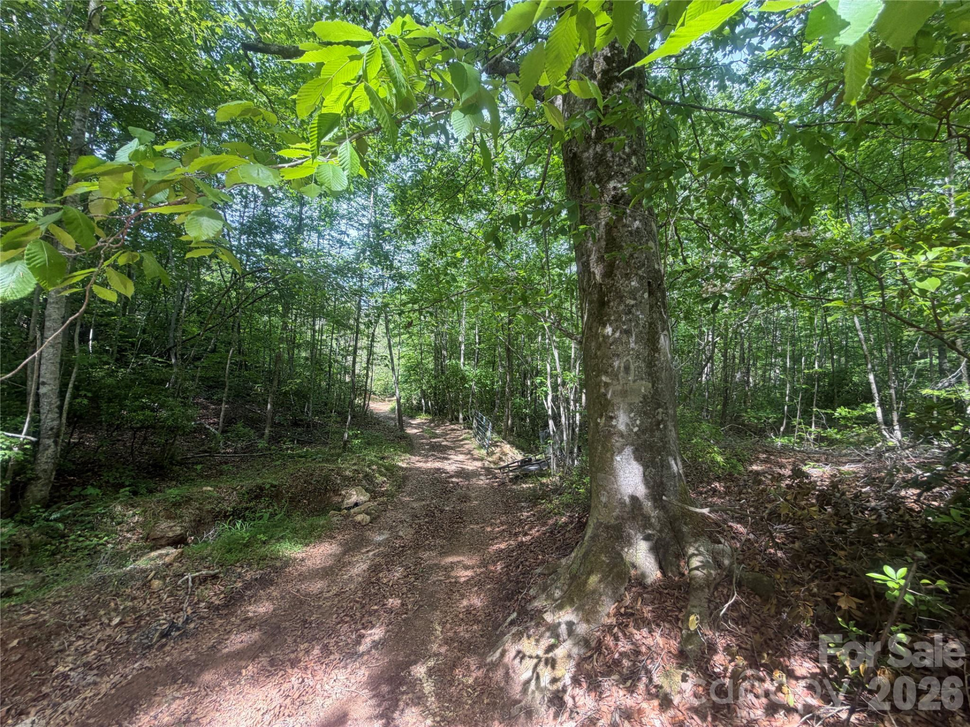 1411 Cedar Creek Road - Photo 19