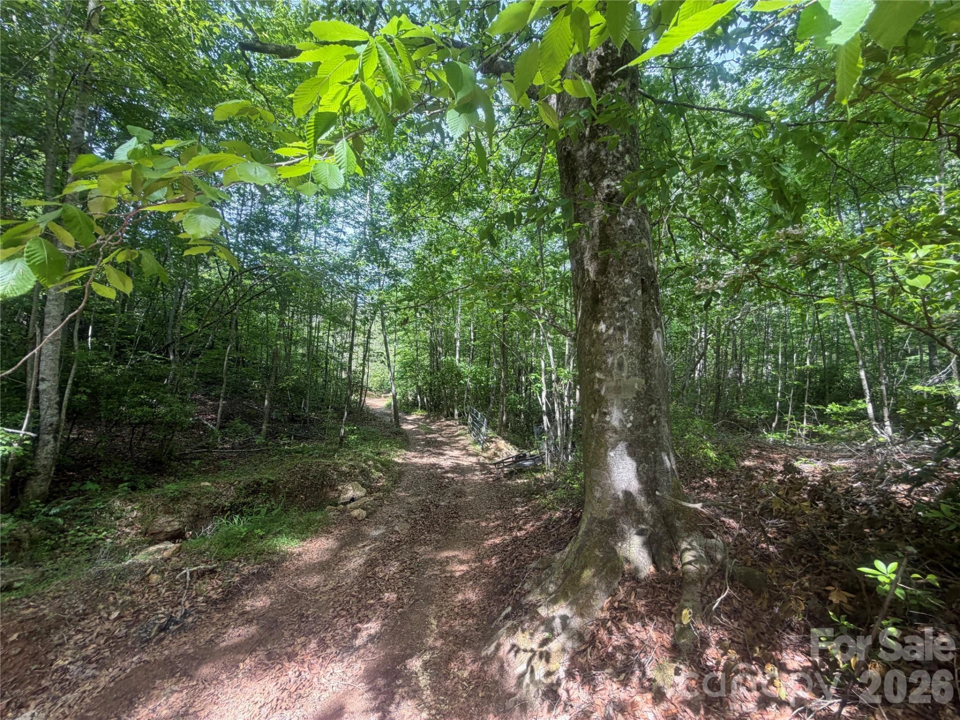 1411 Cedar Creek Road - Photo 18