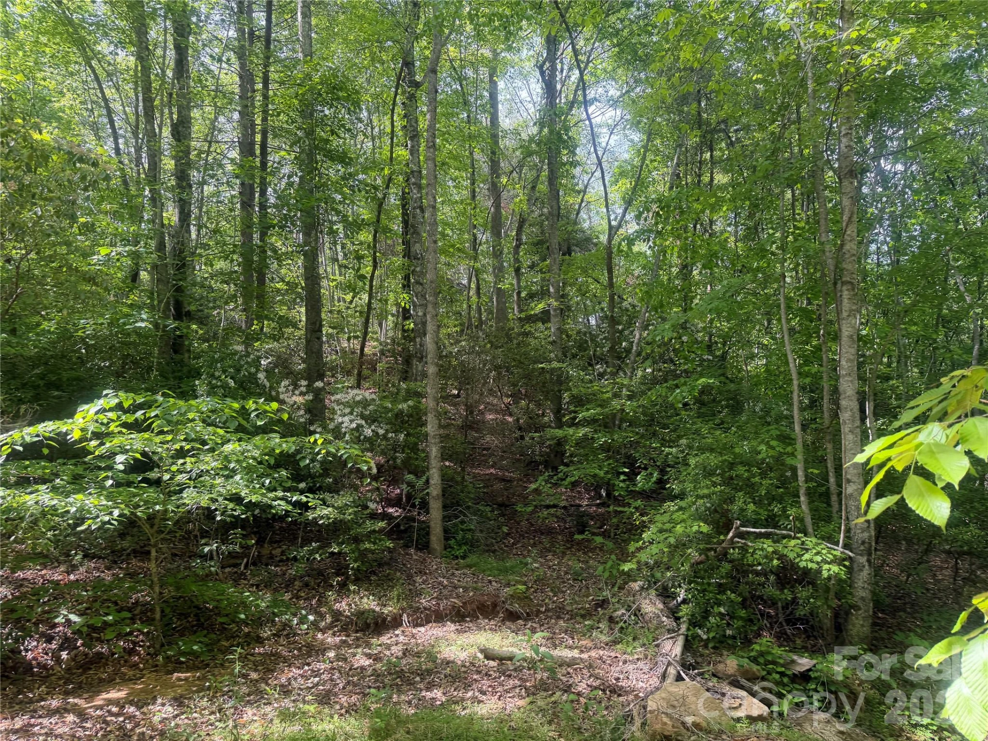 1411 Cedar Creek Road - Photo 19