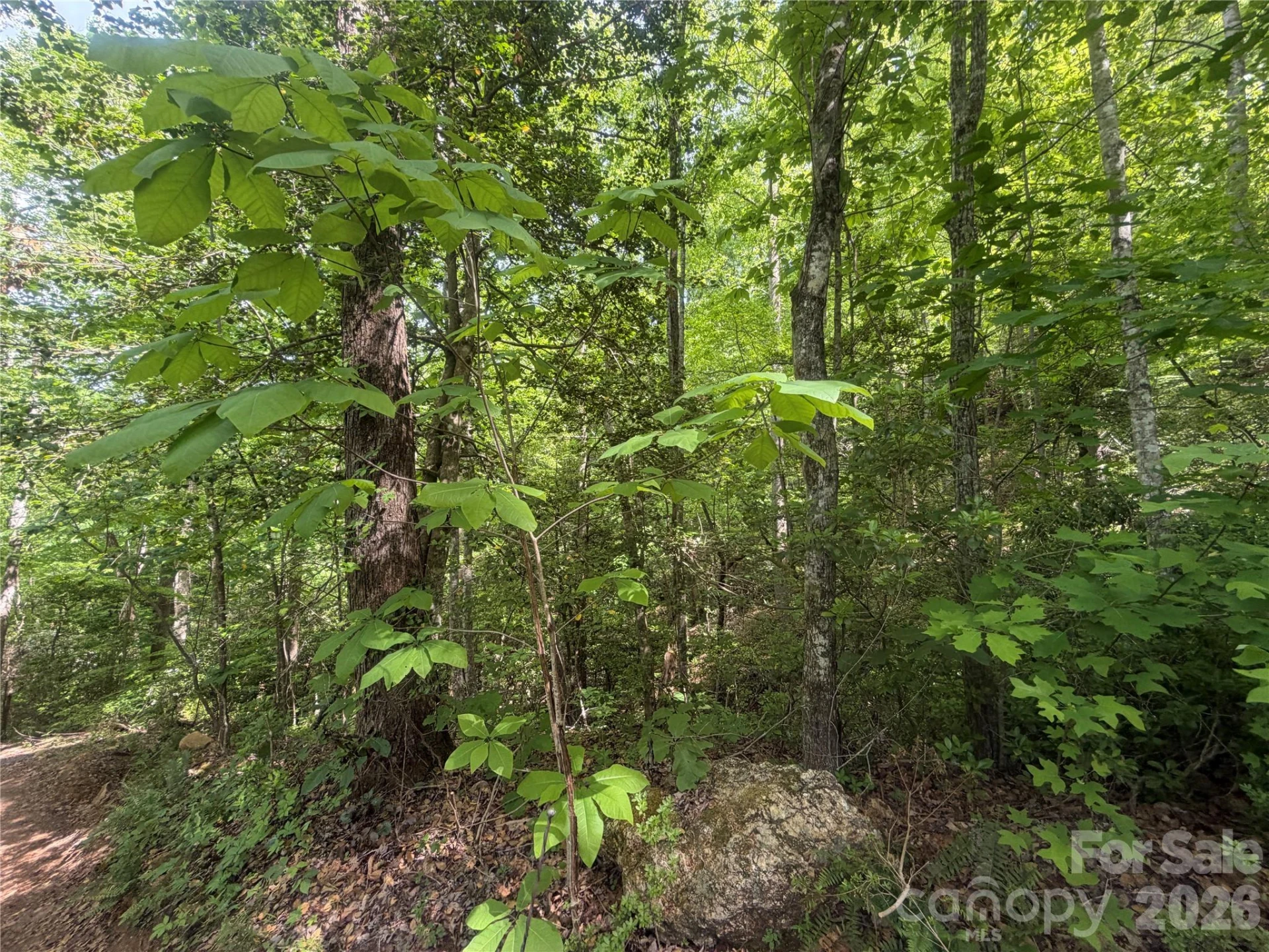 1411 Cedar Creek Road - Photo 20