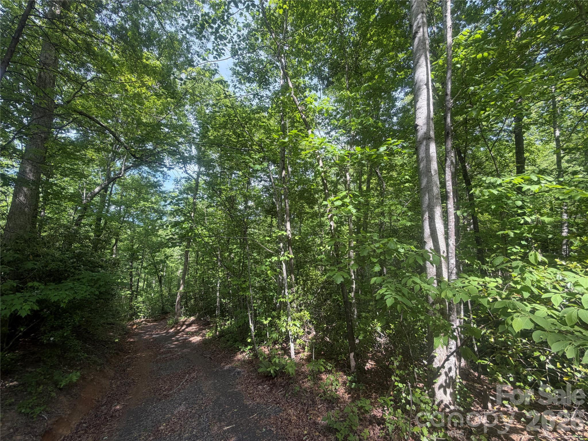 1411 Cedar Creek Road - Photo 22
