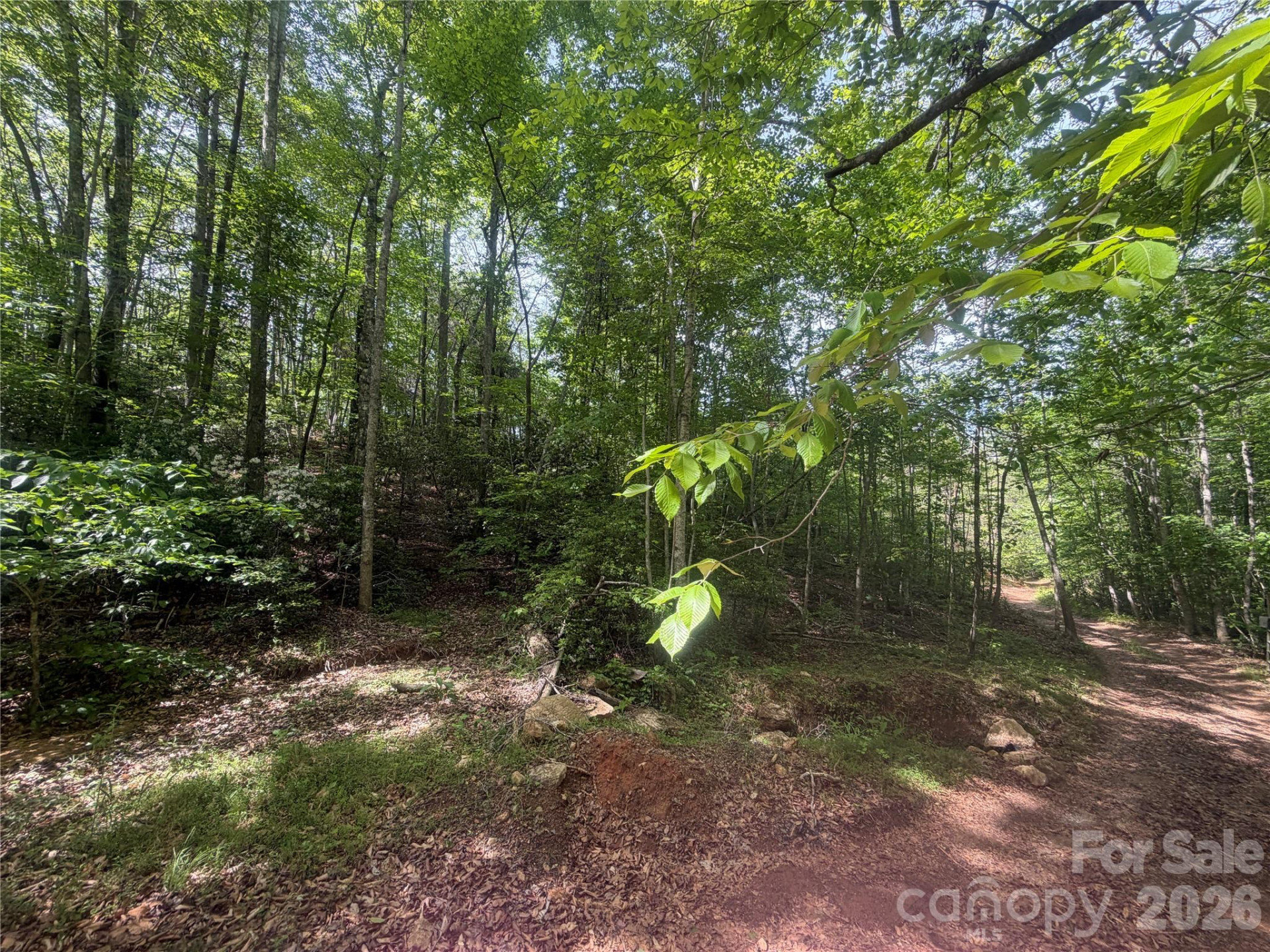1411 Cedar Creek Road - Photo 25