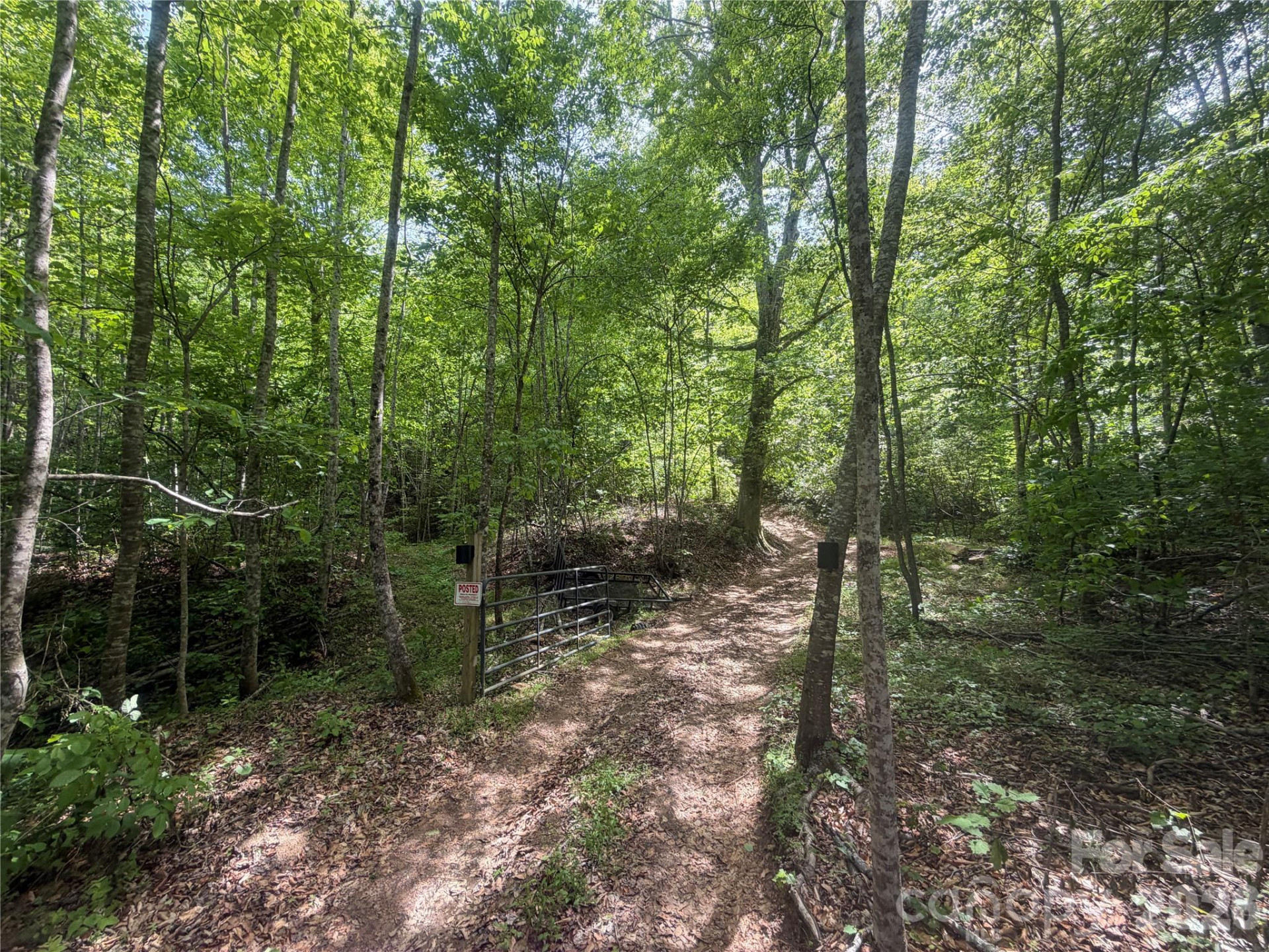1411 Cedar Creek Road - Photo 27