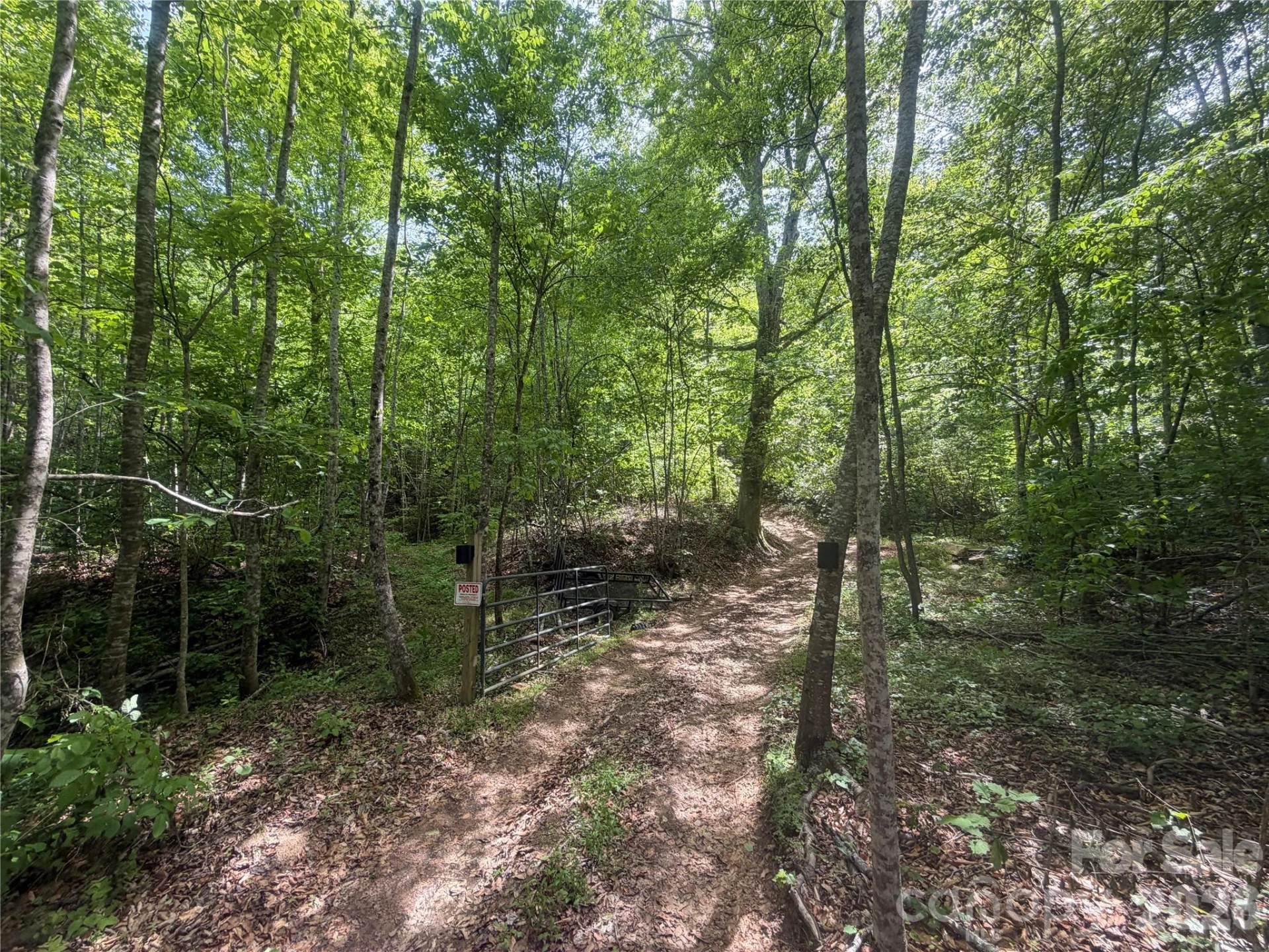 1411 Cedar Creek Road - Photo 25