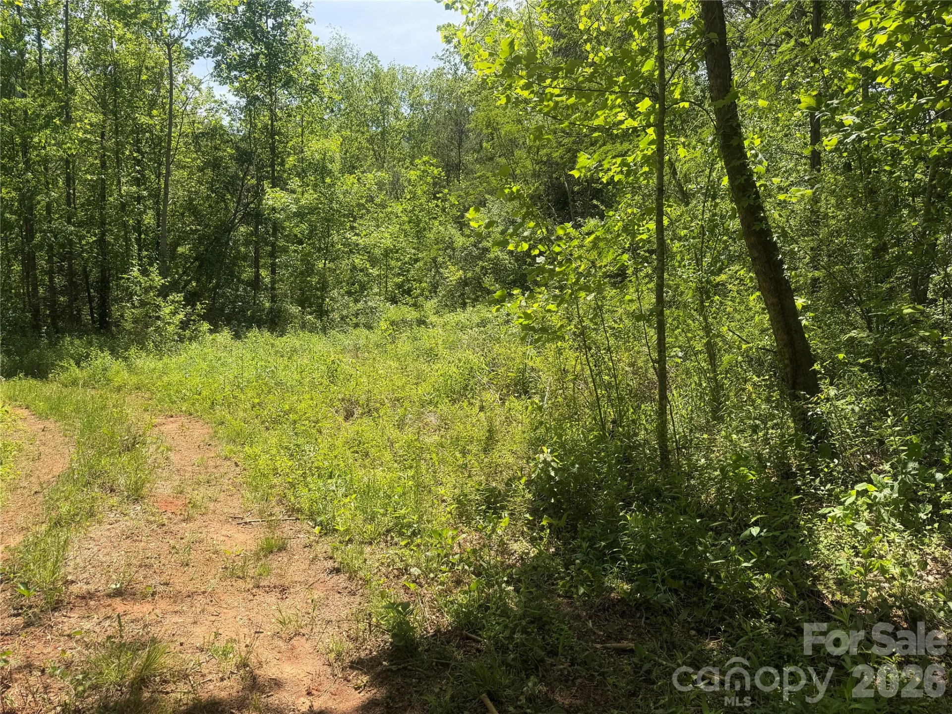 1411 Cedar Creek Road - Photo 26
