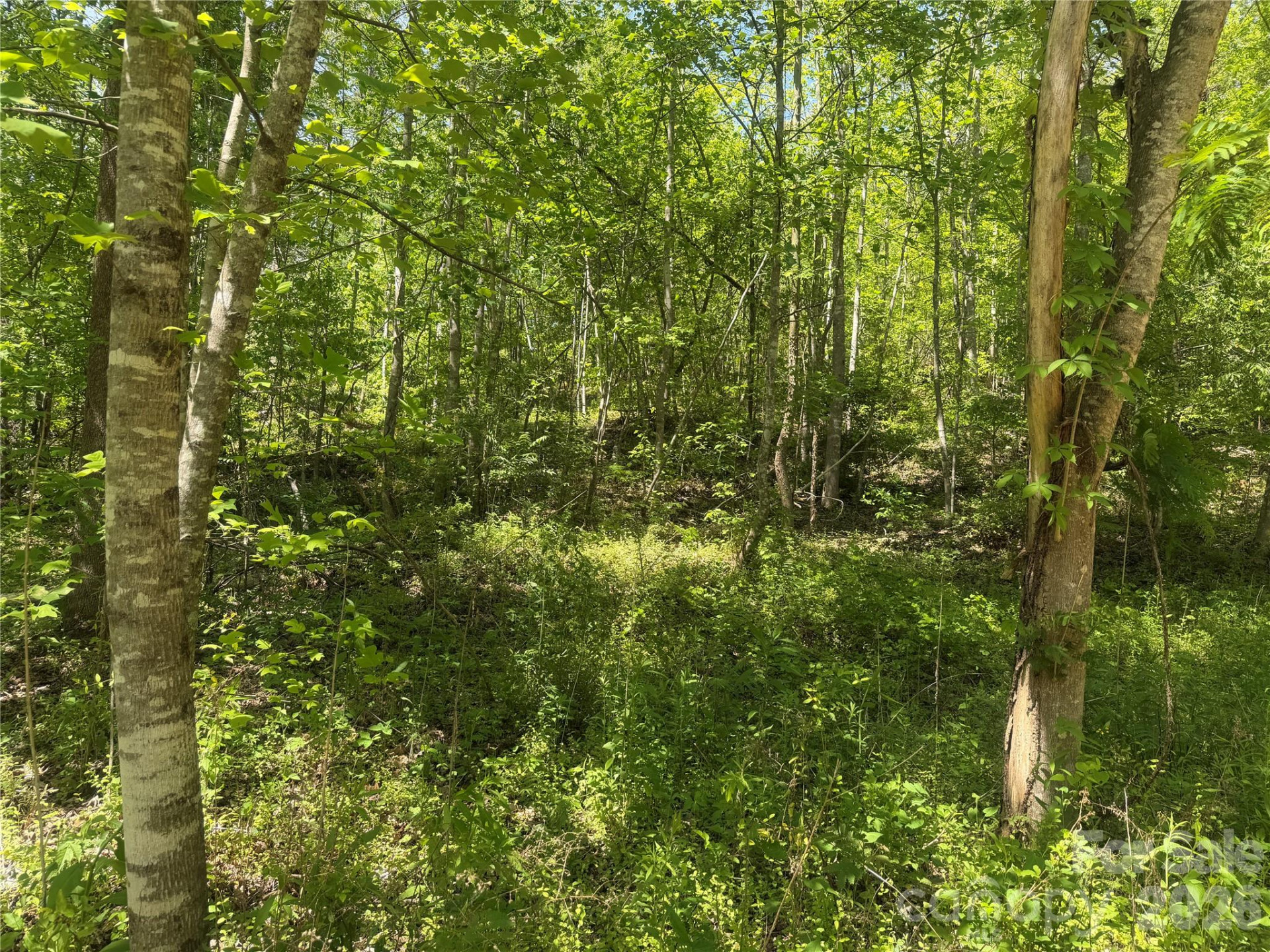 1411 Cedar Creek Road - Photo 29