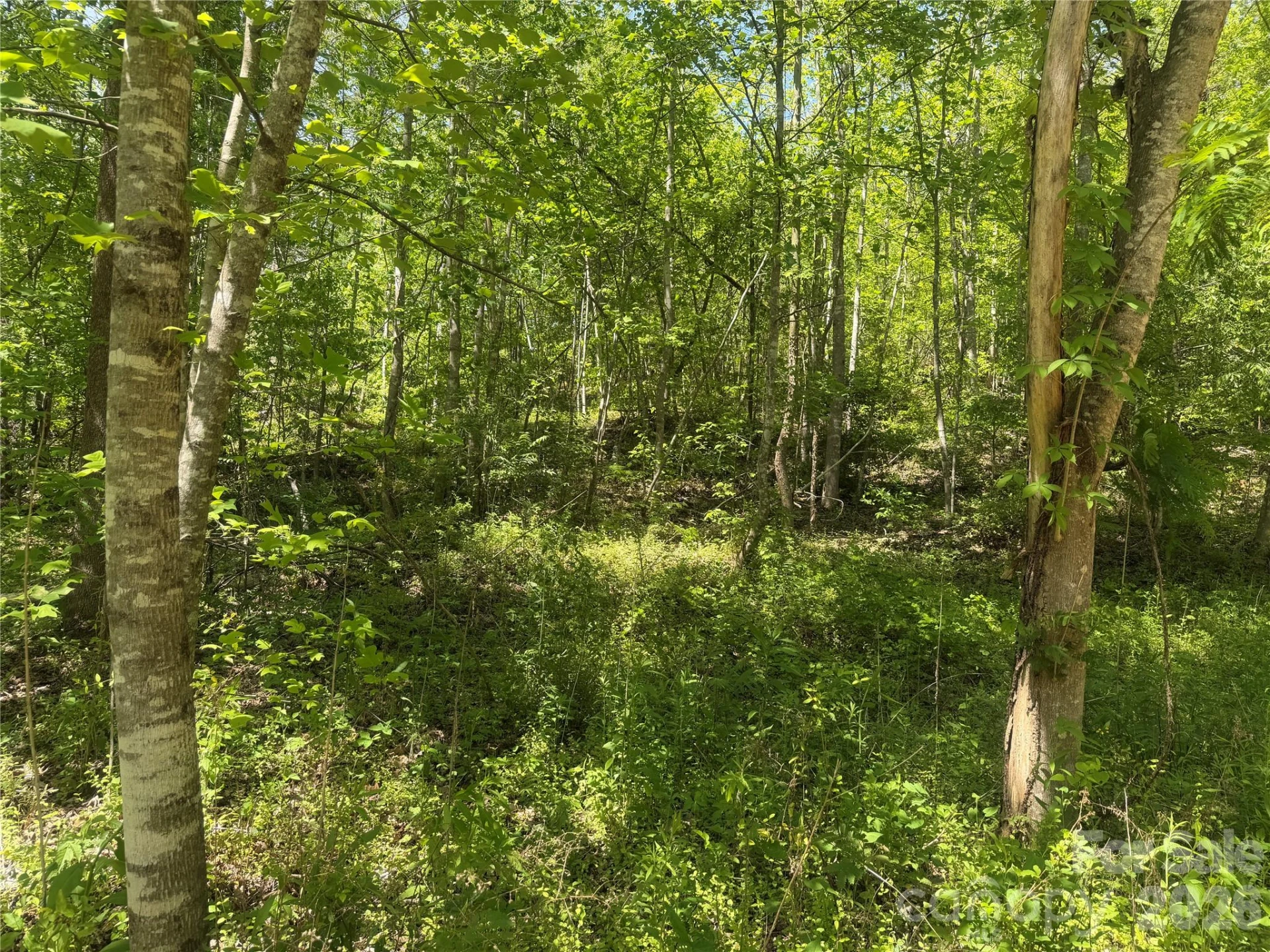 1411 Cedar Creek Road - Photo 27
