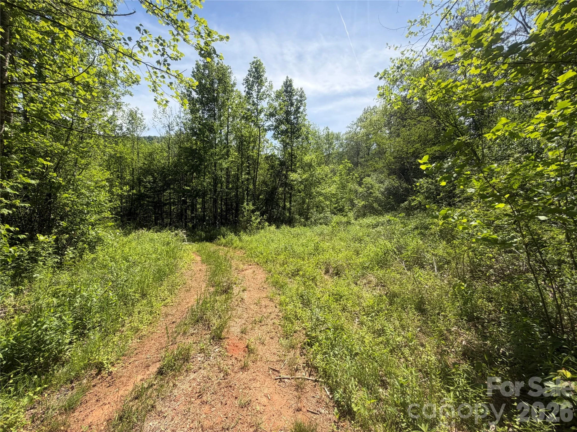 1411 Cedar Creek Road - Photo 28