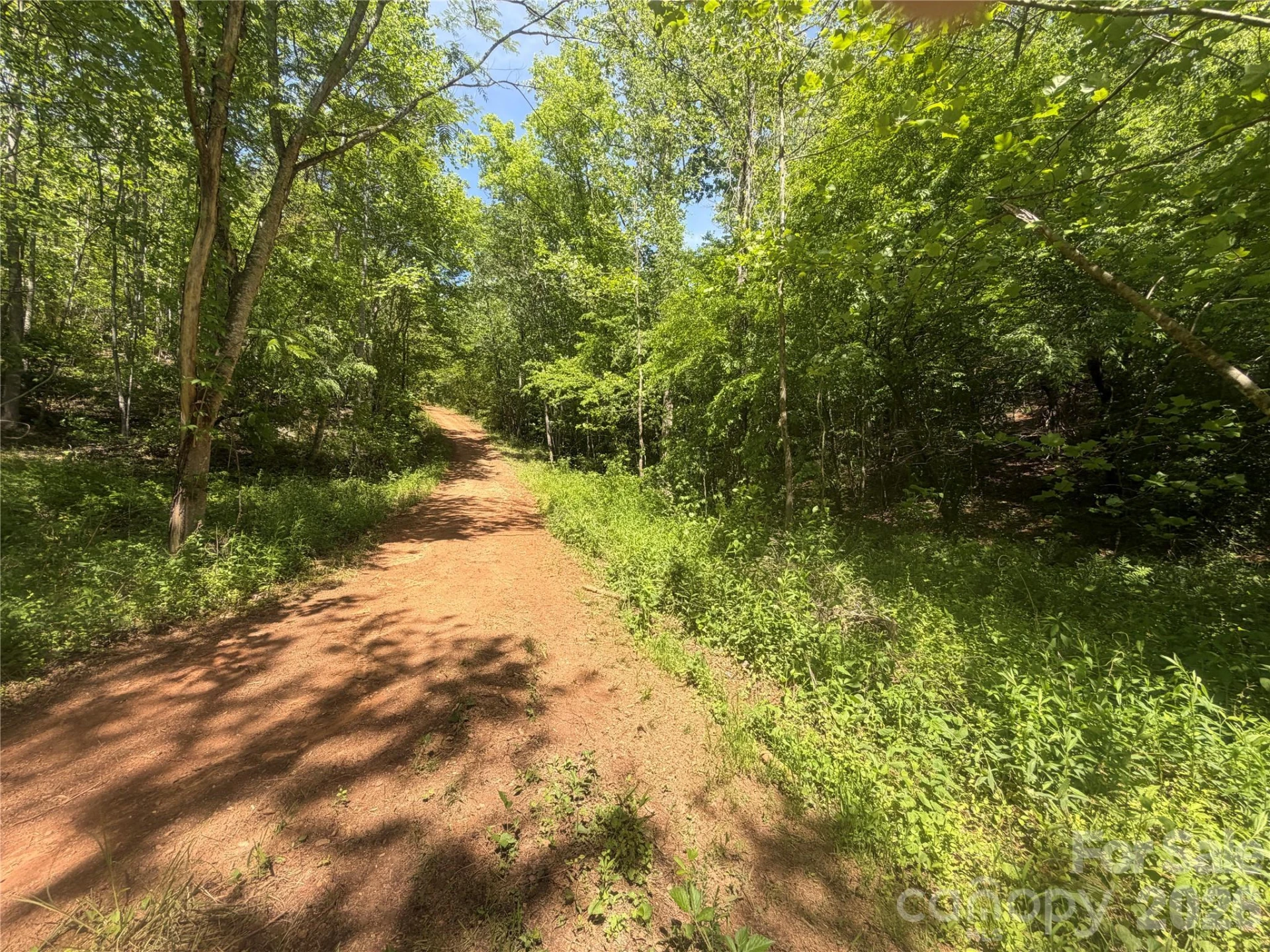 1411 Cedar Creek Road - Photo 29