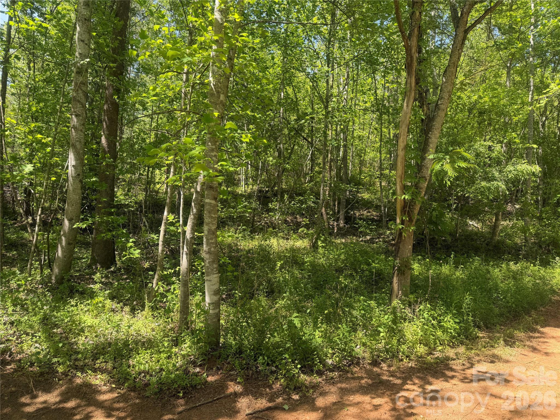 1411 Cedar Creek Road - Photo 32