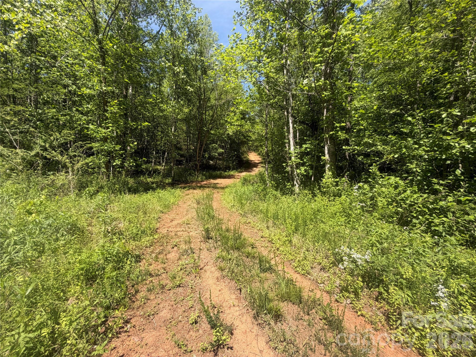1411 Cedar Creek Road - Photo 33