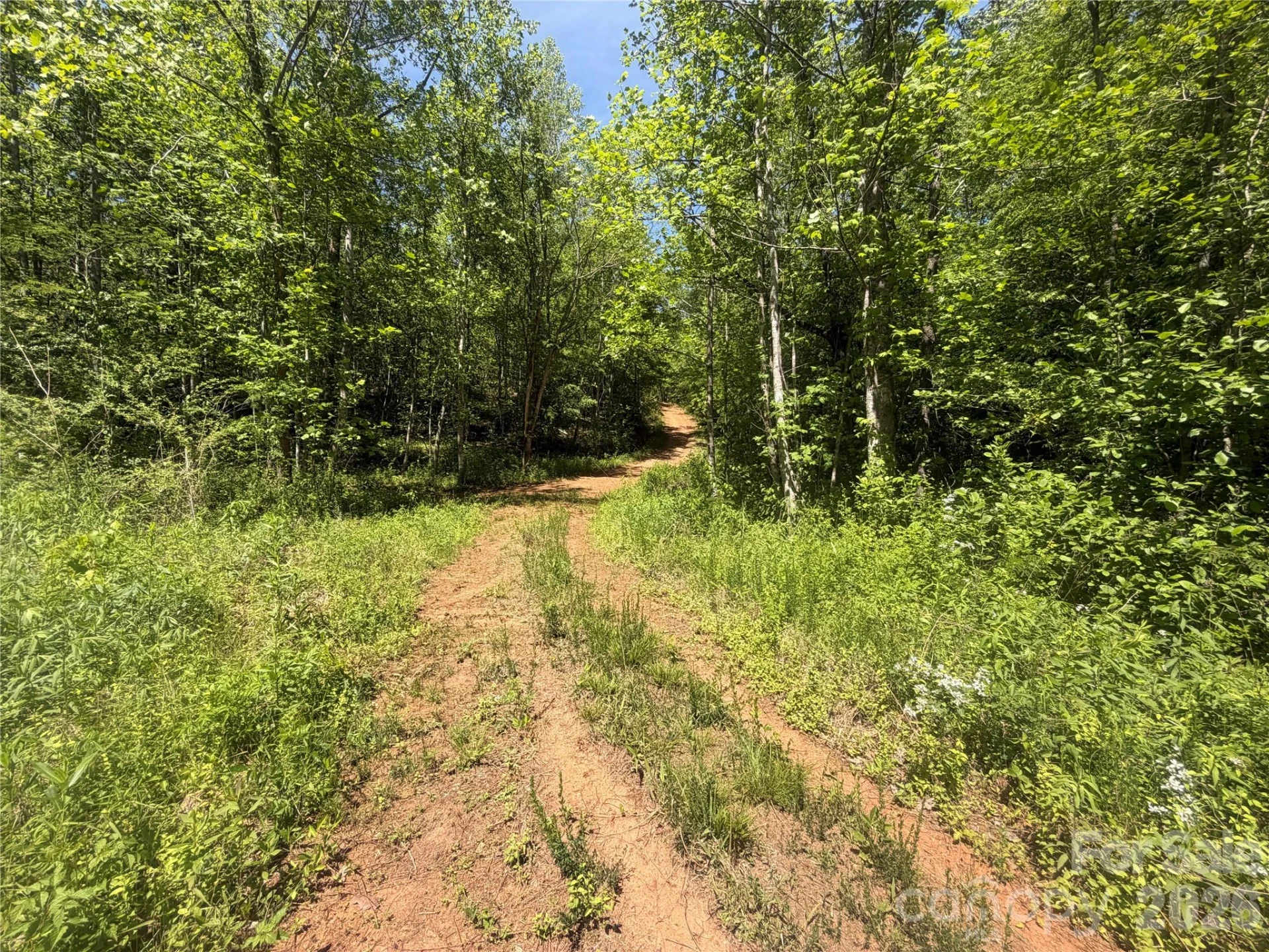 1411 Cedar Creek Road - Photo 31