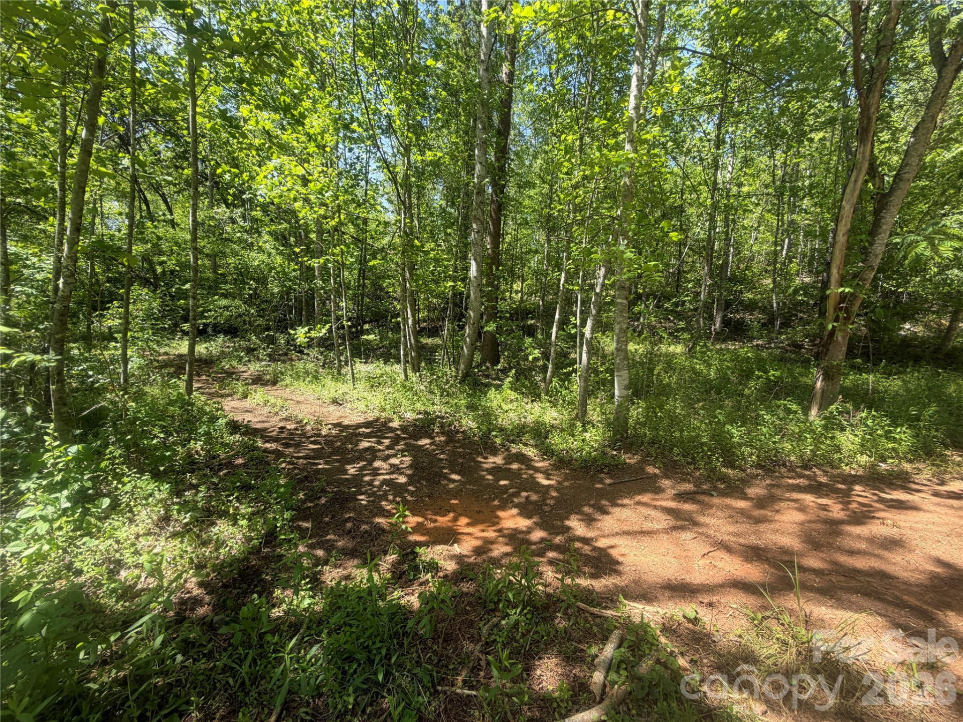 1411 Cedar Creek Road - Photo 34