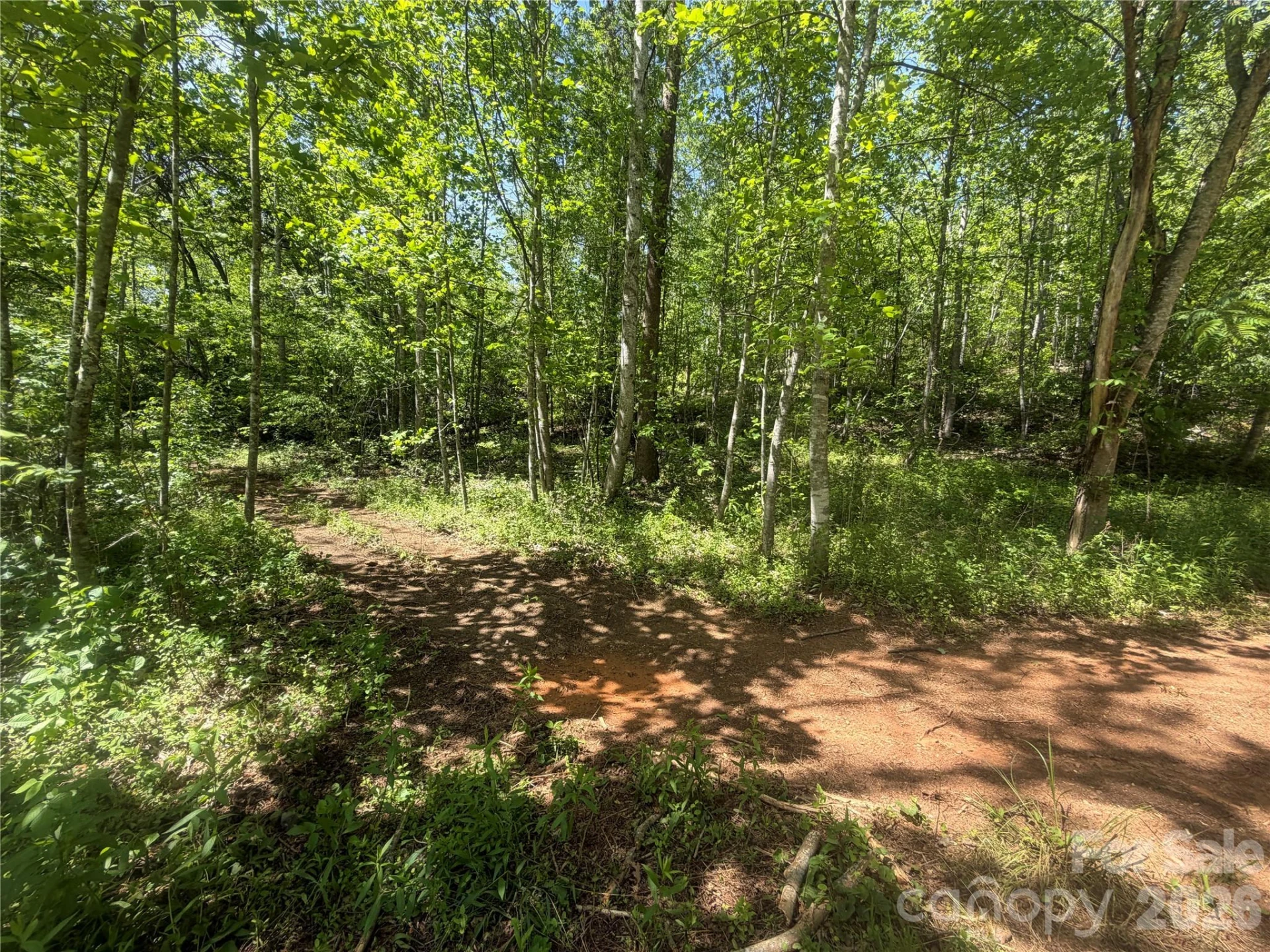 1411 Cedar Creek Road - Photo 32