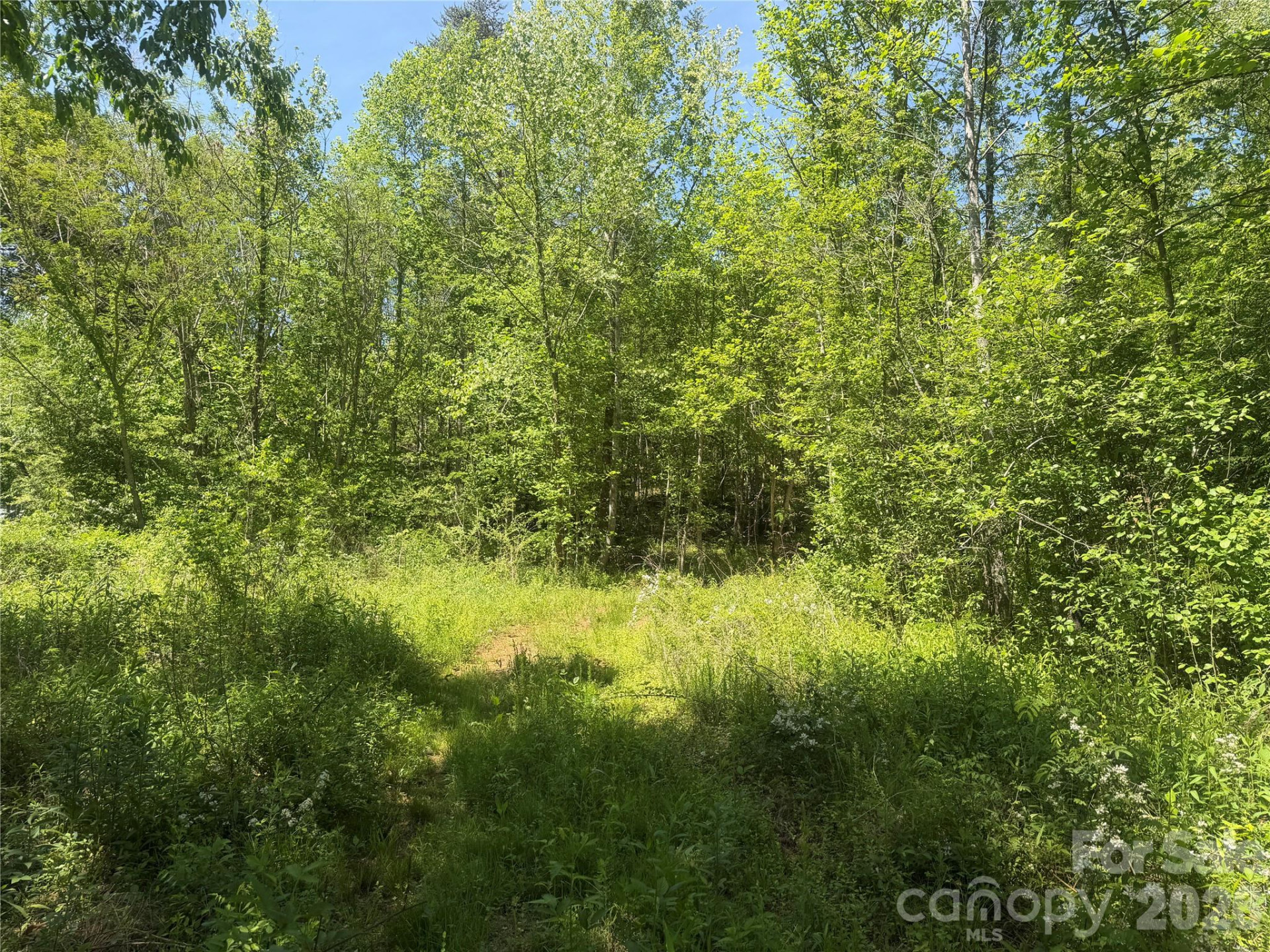 1411 Cedar Creek Road - Photo 35