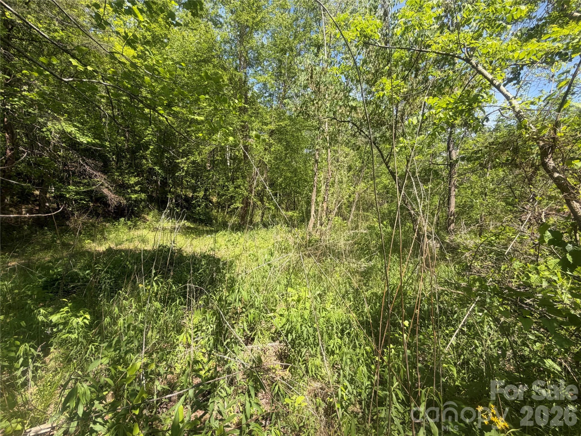 1411 Cedar Creek Road - Photo 34