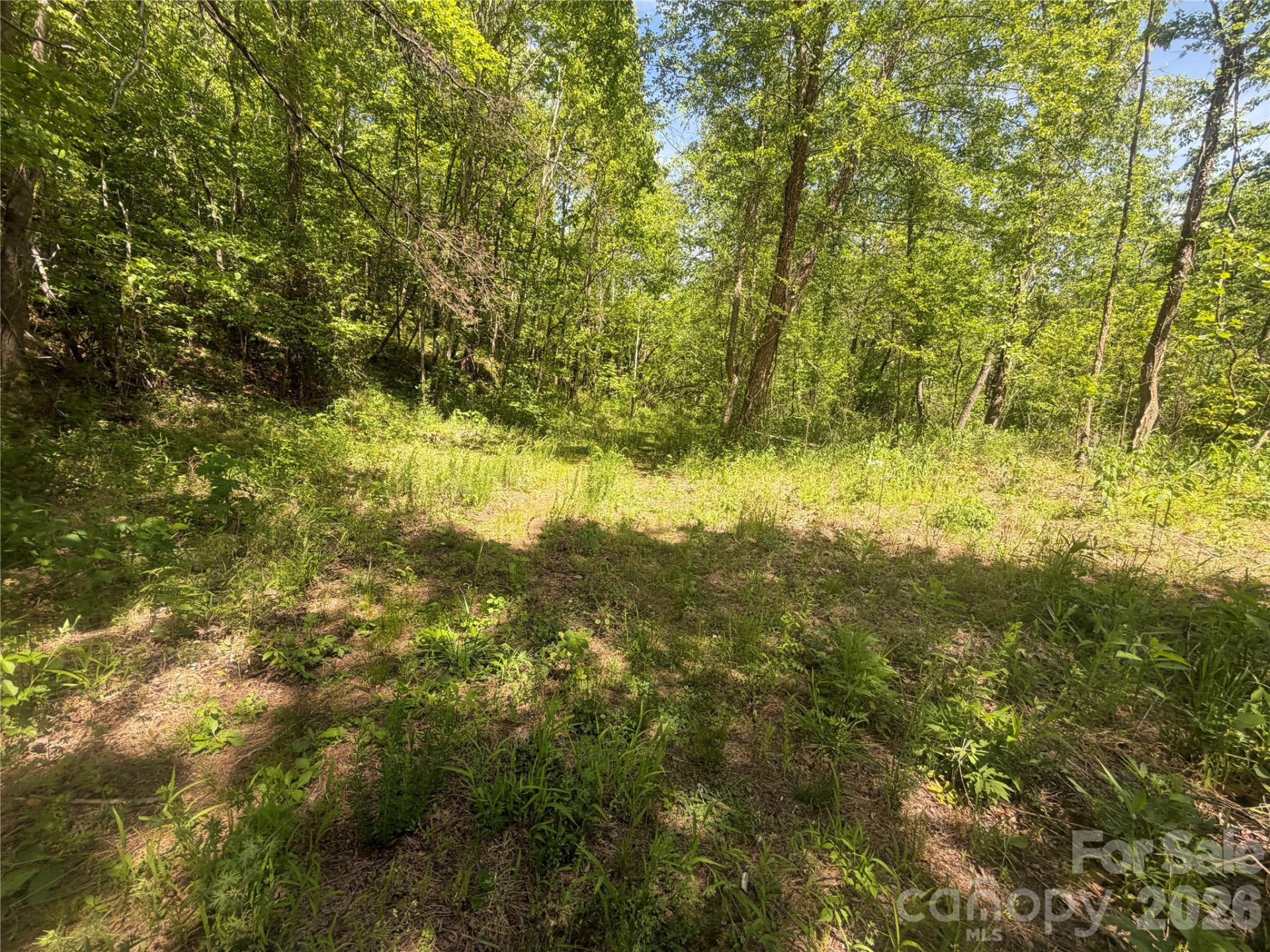 1411 Cedar Creek Road - Photo 37