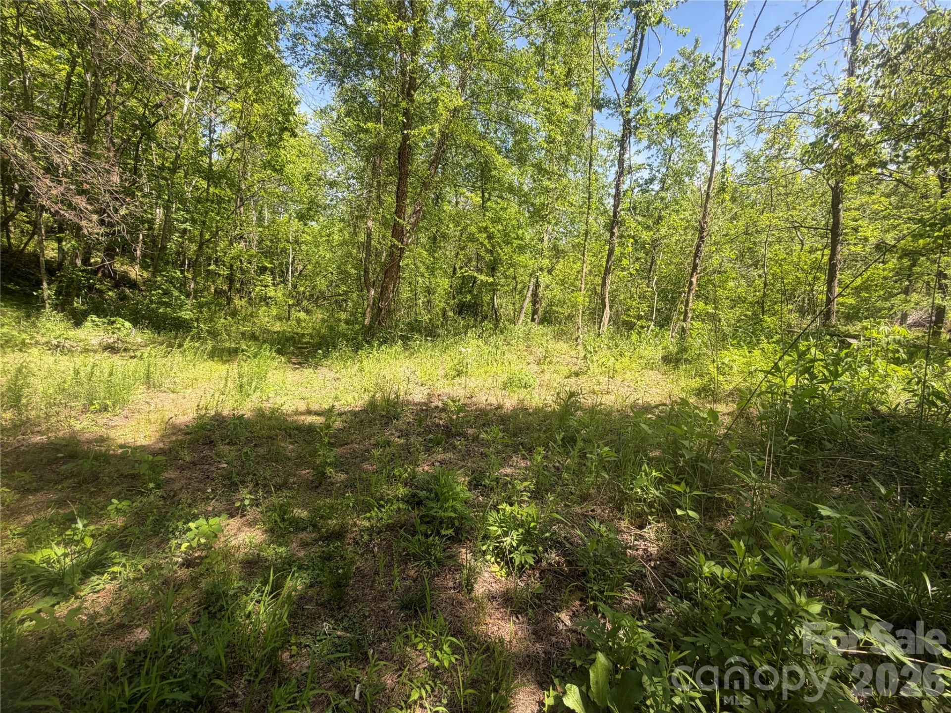 1411 Cedar Creek Road - Photo 36