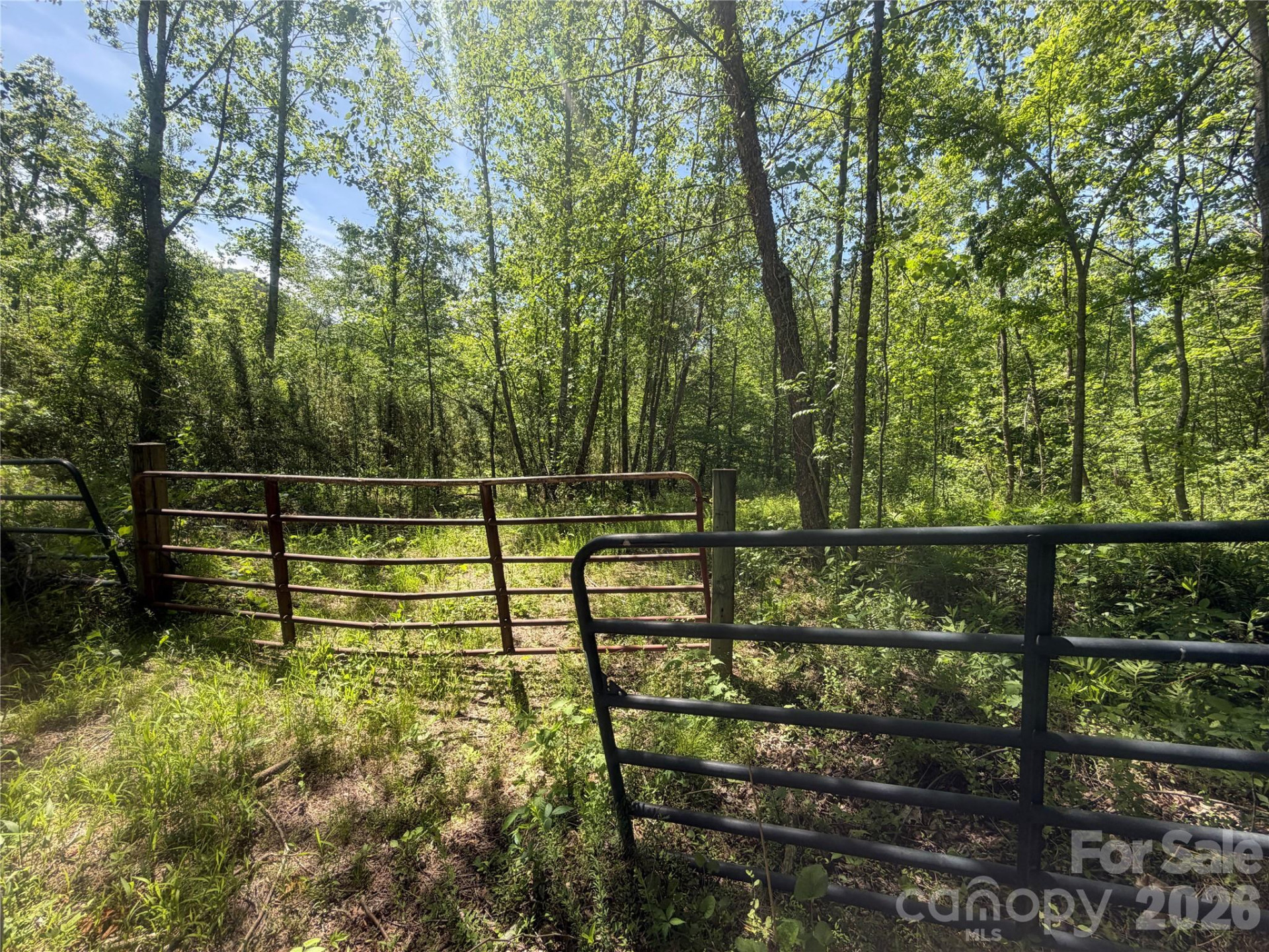 1411 Cedar Creek Road - Photo 39
