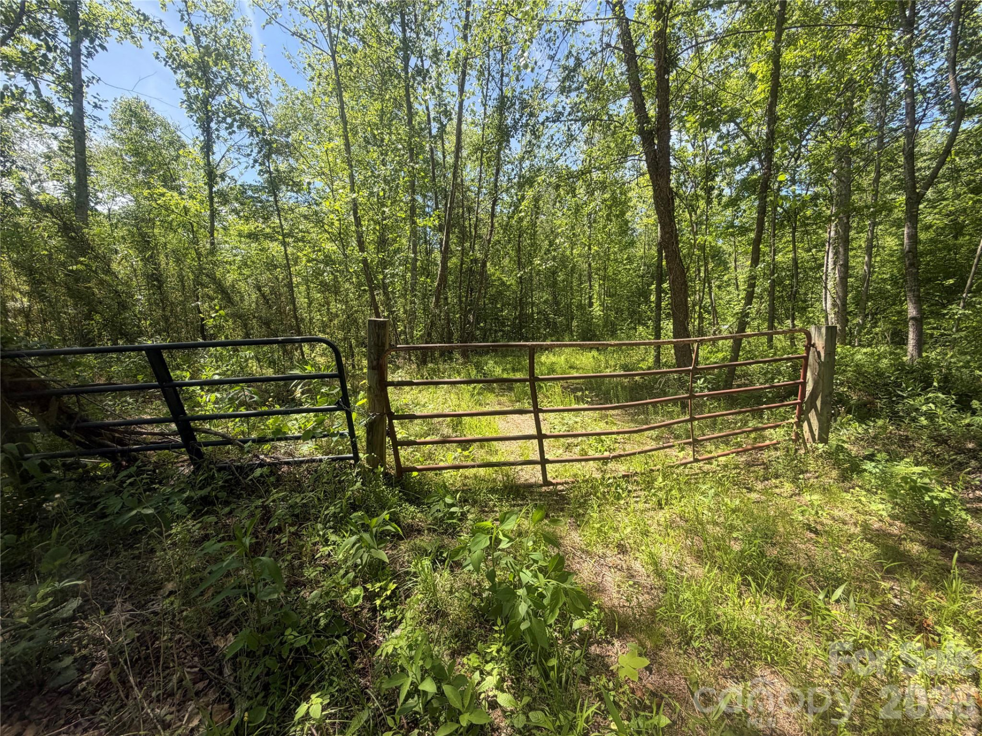 1411 Cedar Creek Road - Photo 40