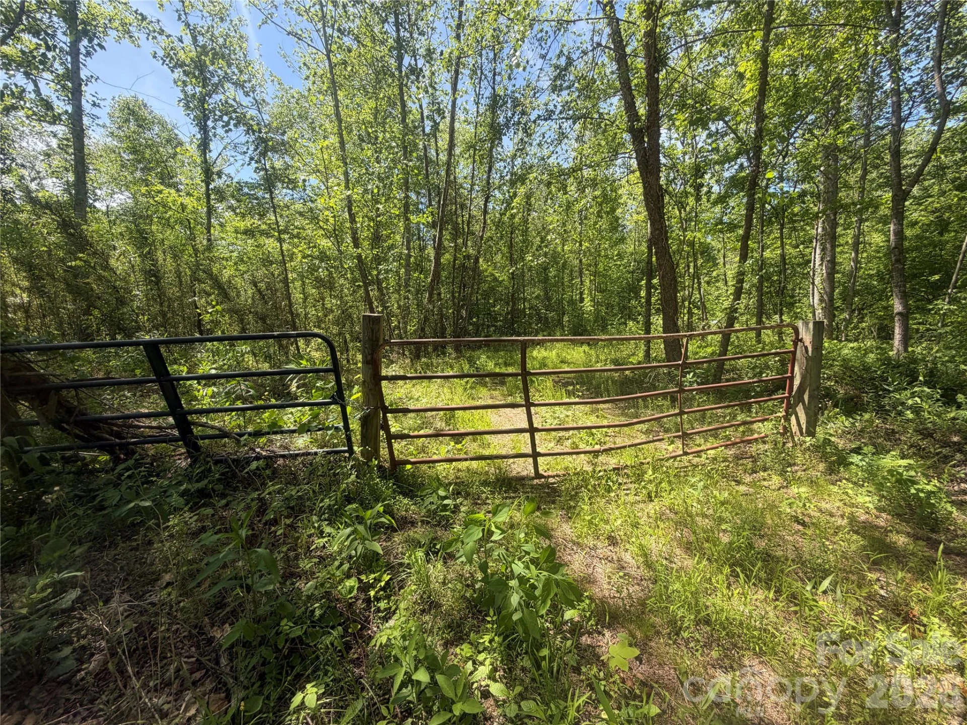 1411 Cedar Creek Road - Photo 38