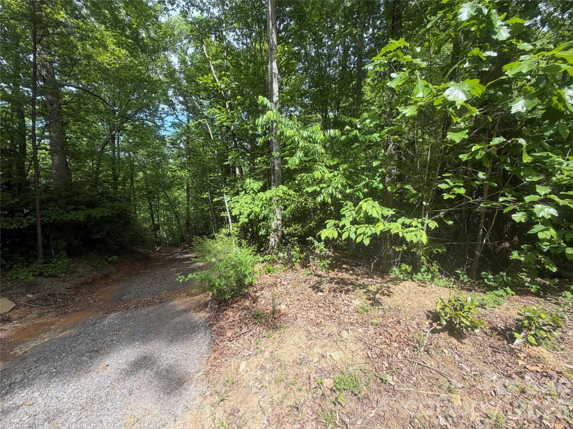 1411 Cedar Creek Road - Photo 39