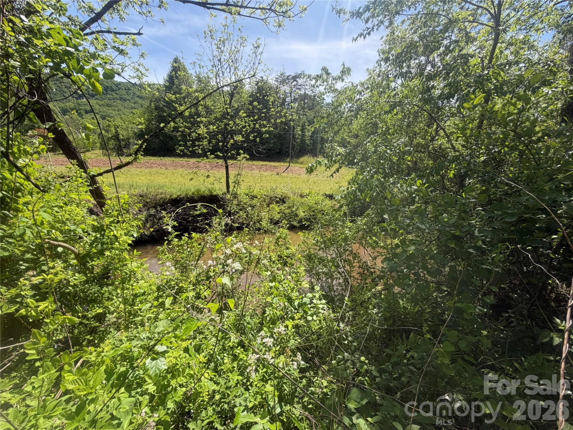 1411 Cedar Creek Road - Photo 42